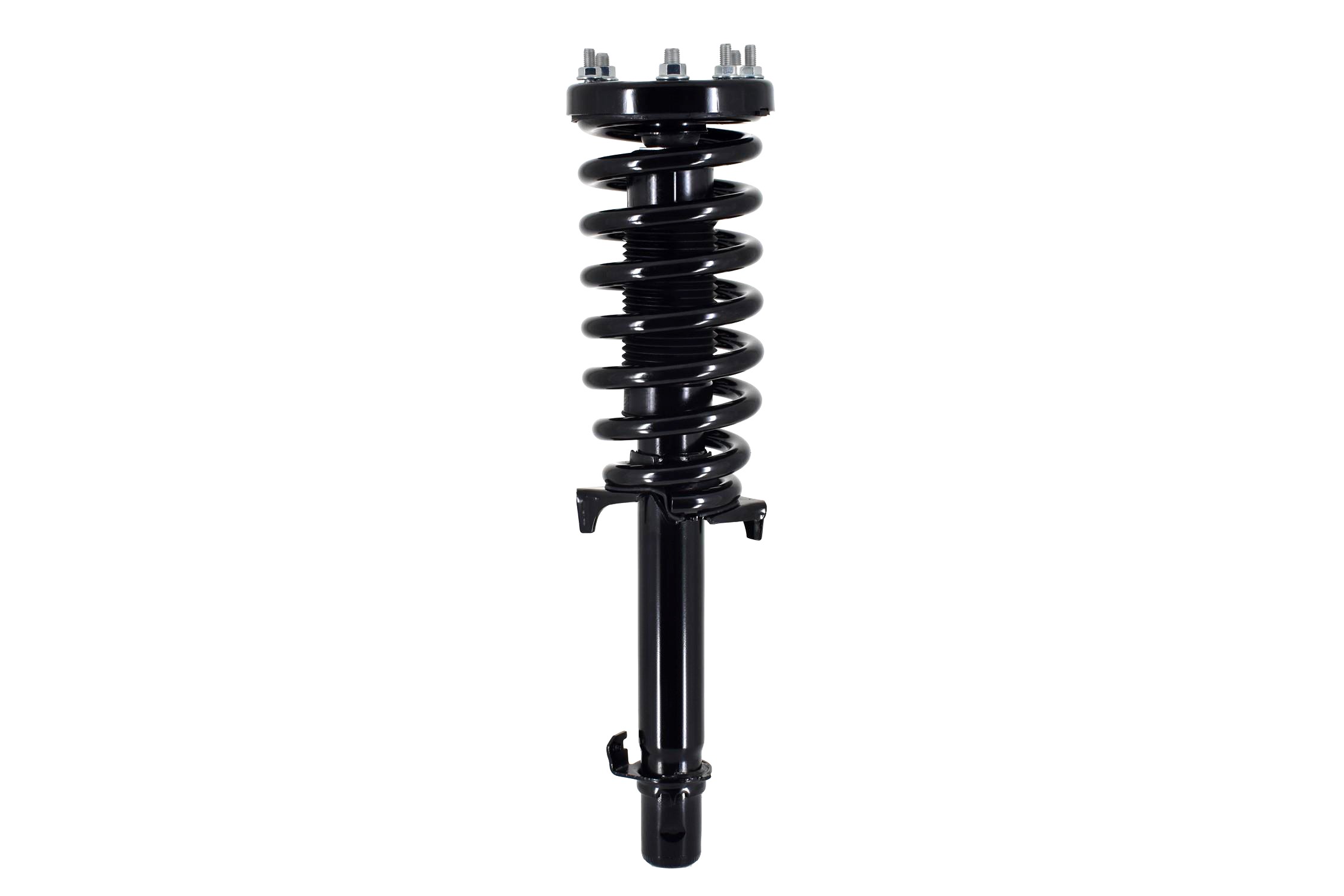 Suspension Strut and Coil Spring Assembly