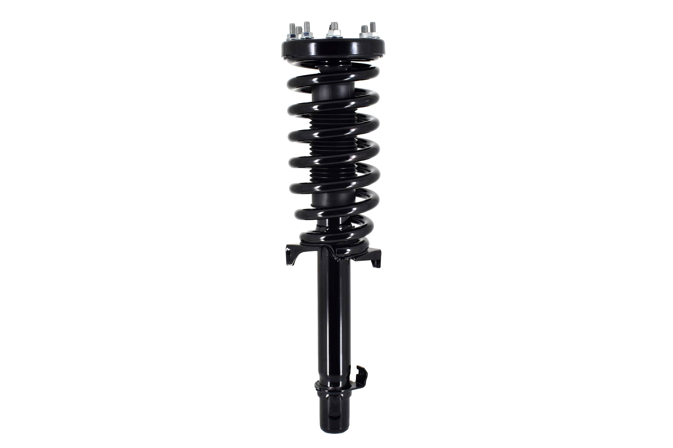 Suspension Strut and Coil Spring Assembly