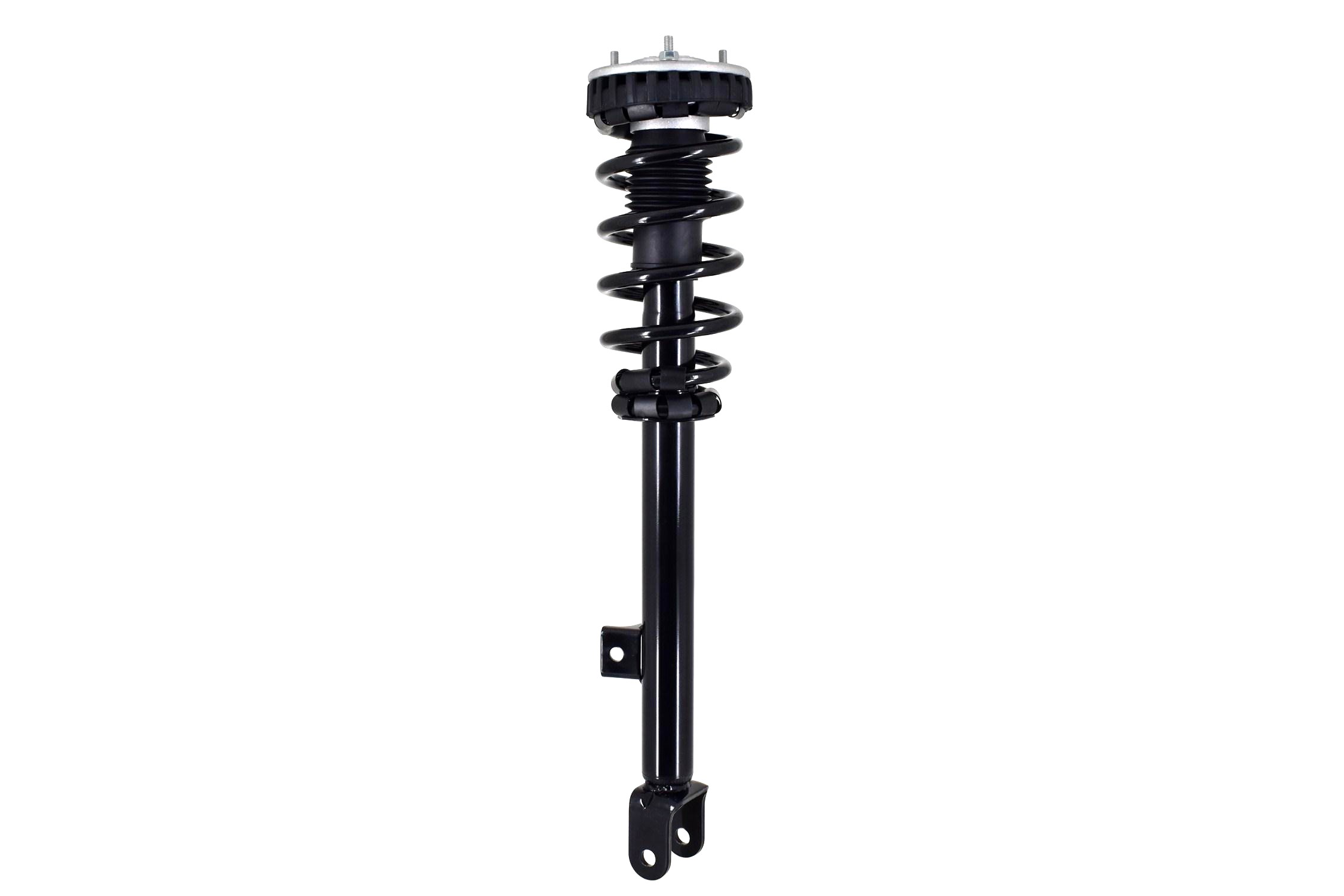 Suspension Strut and Coil Spring Assembly