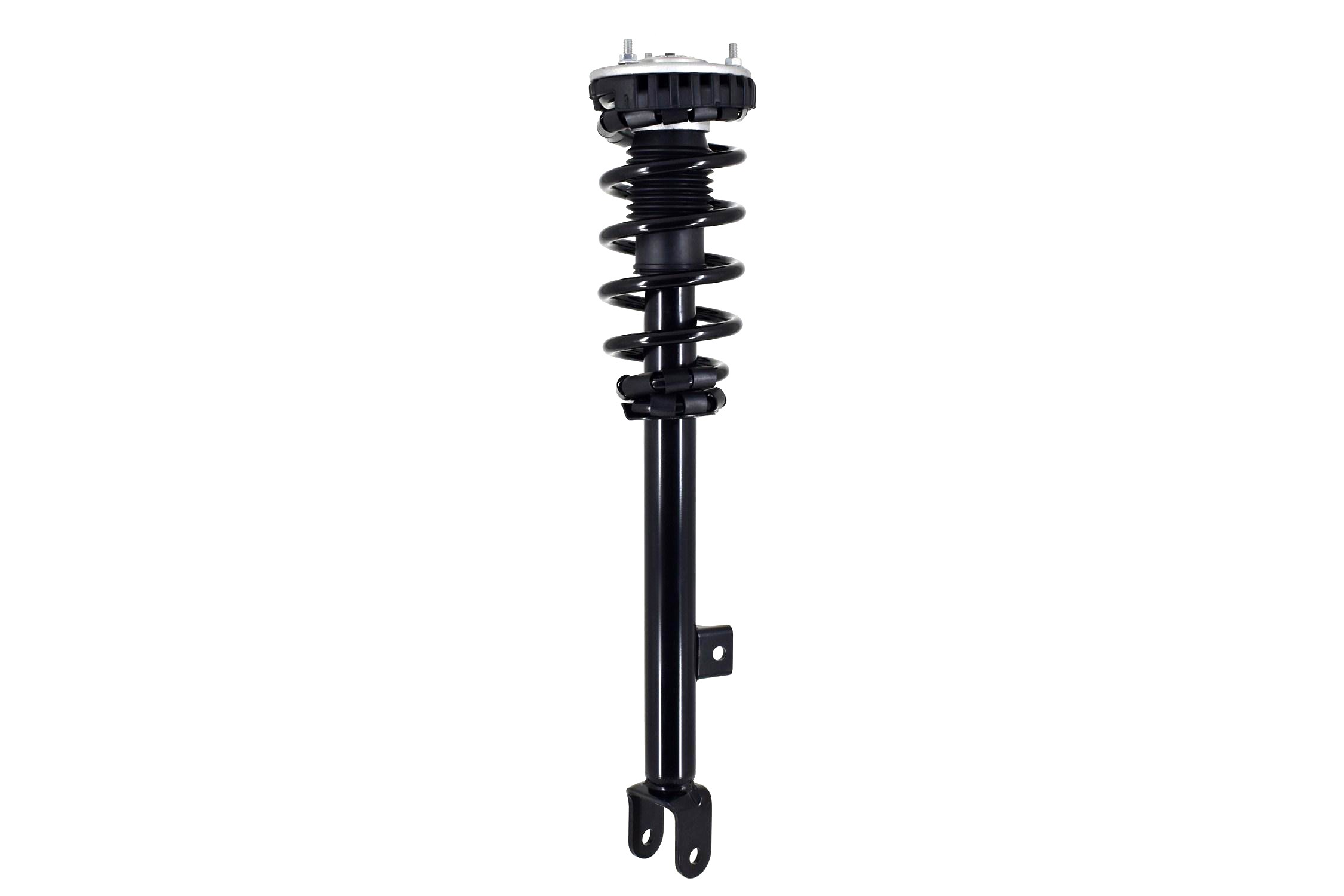 Suspension Strut and Coil Spring Assembly