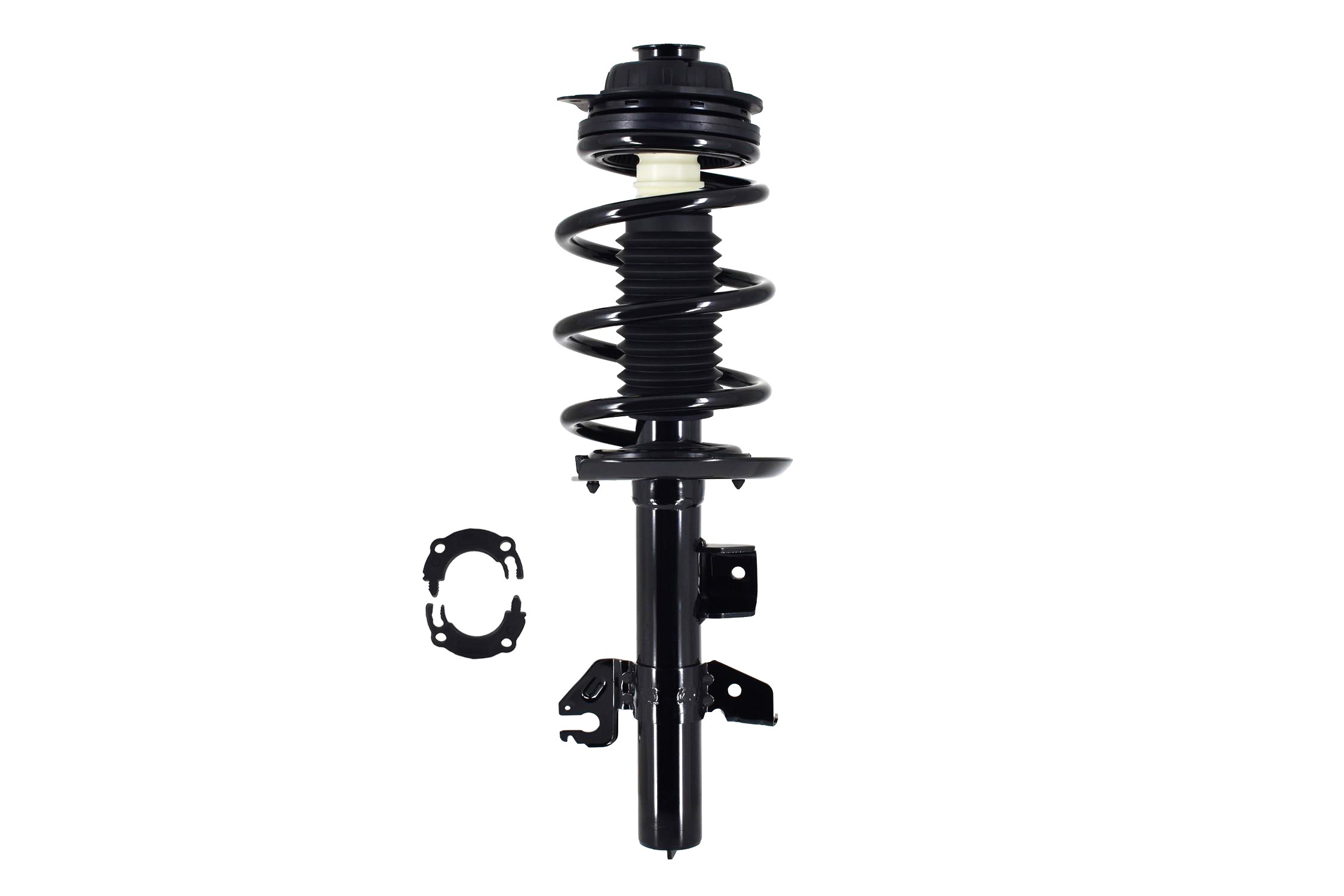 Suspension Strut and Coil Spring Assembly