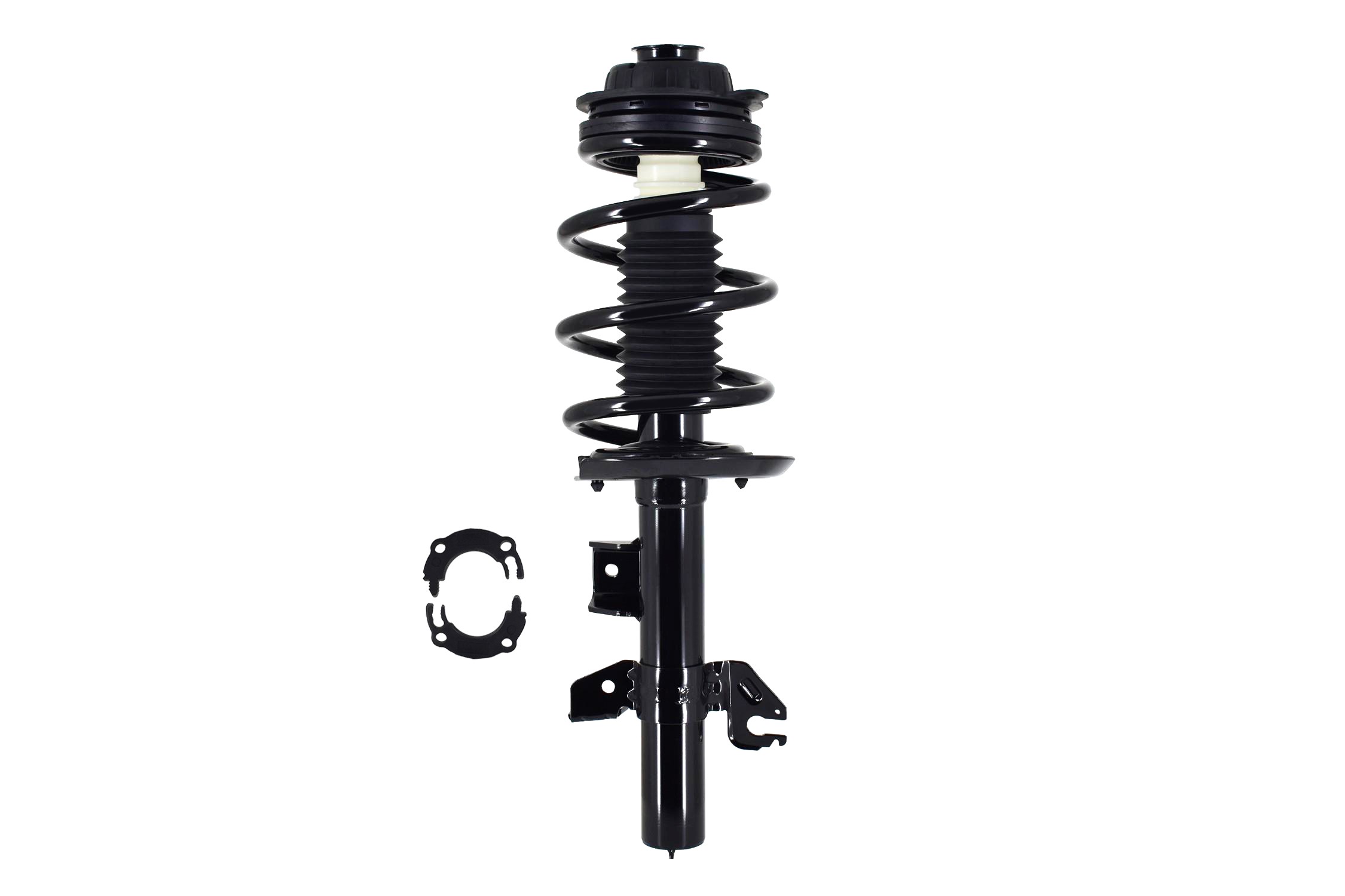 Suspension Strut and Coil Spring Assembly