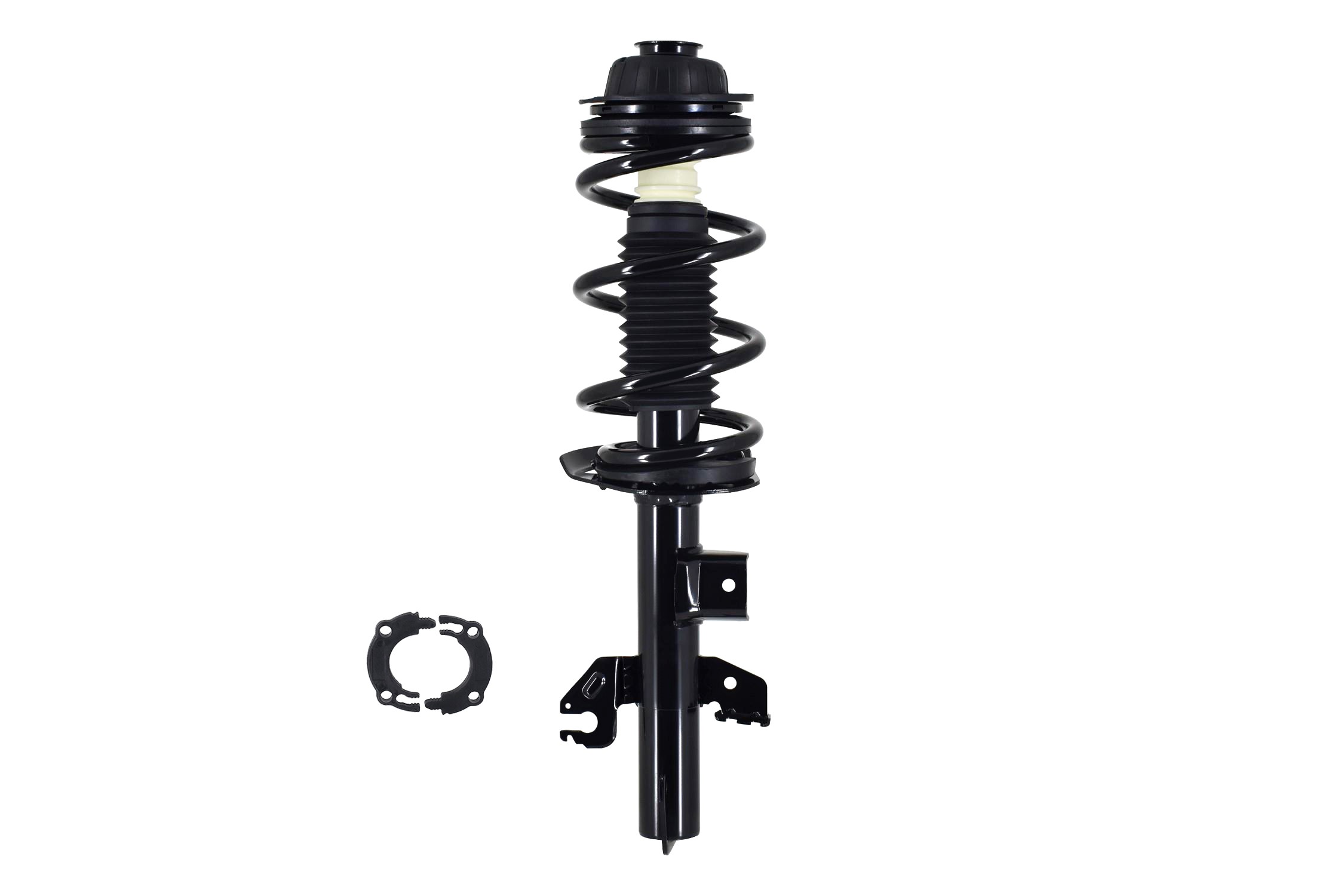 Suspension Strut and Coil Spring Assembly