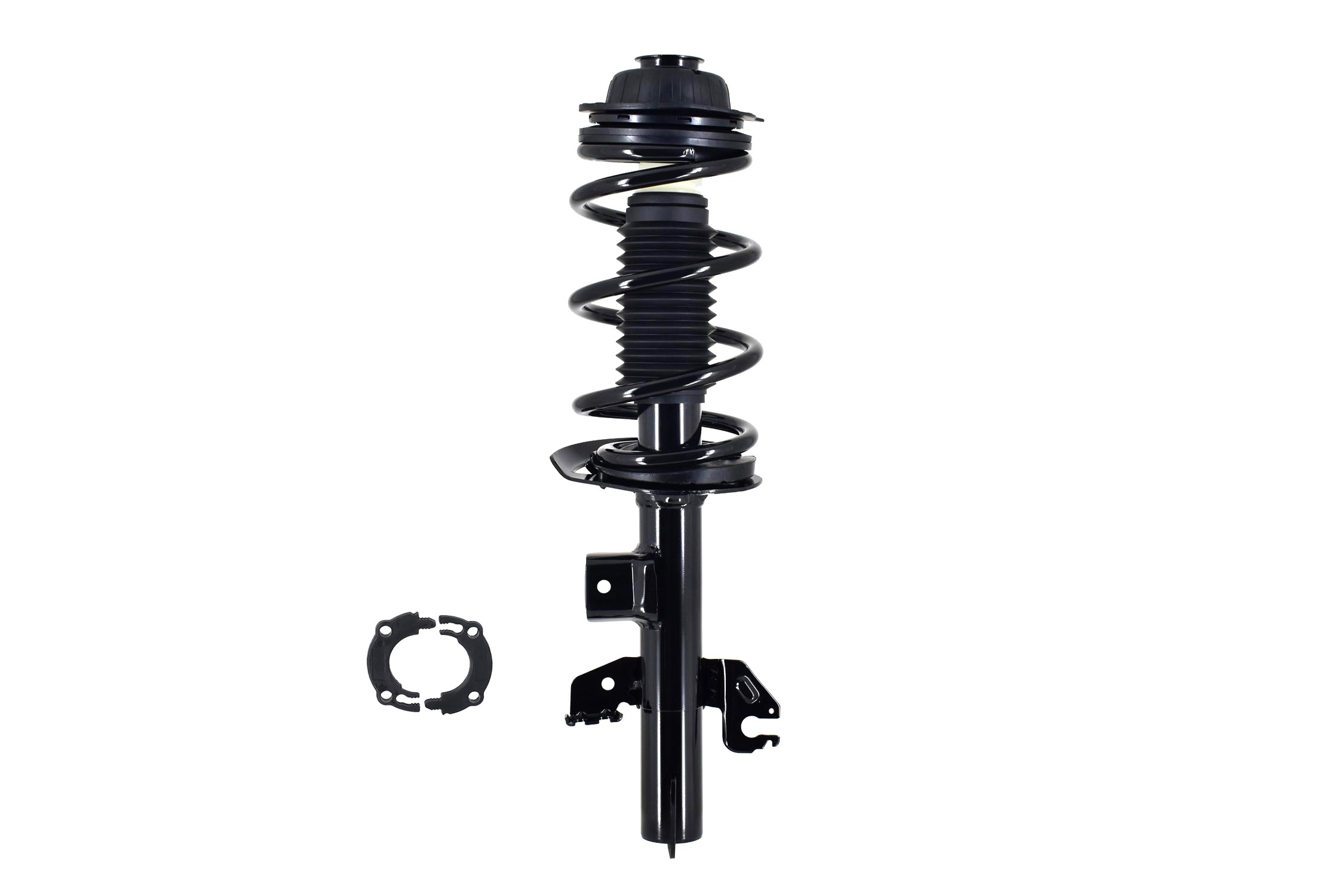 Suspension Strut and Coil Spring Assembly