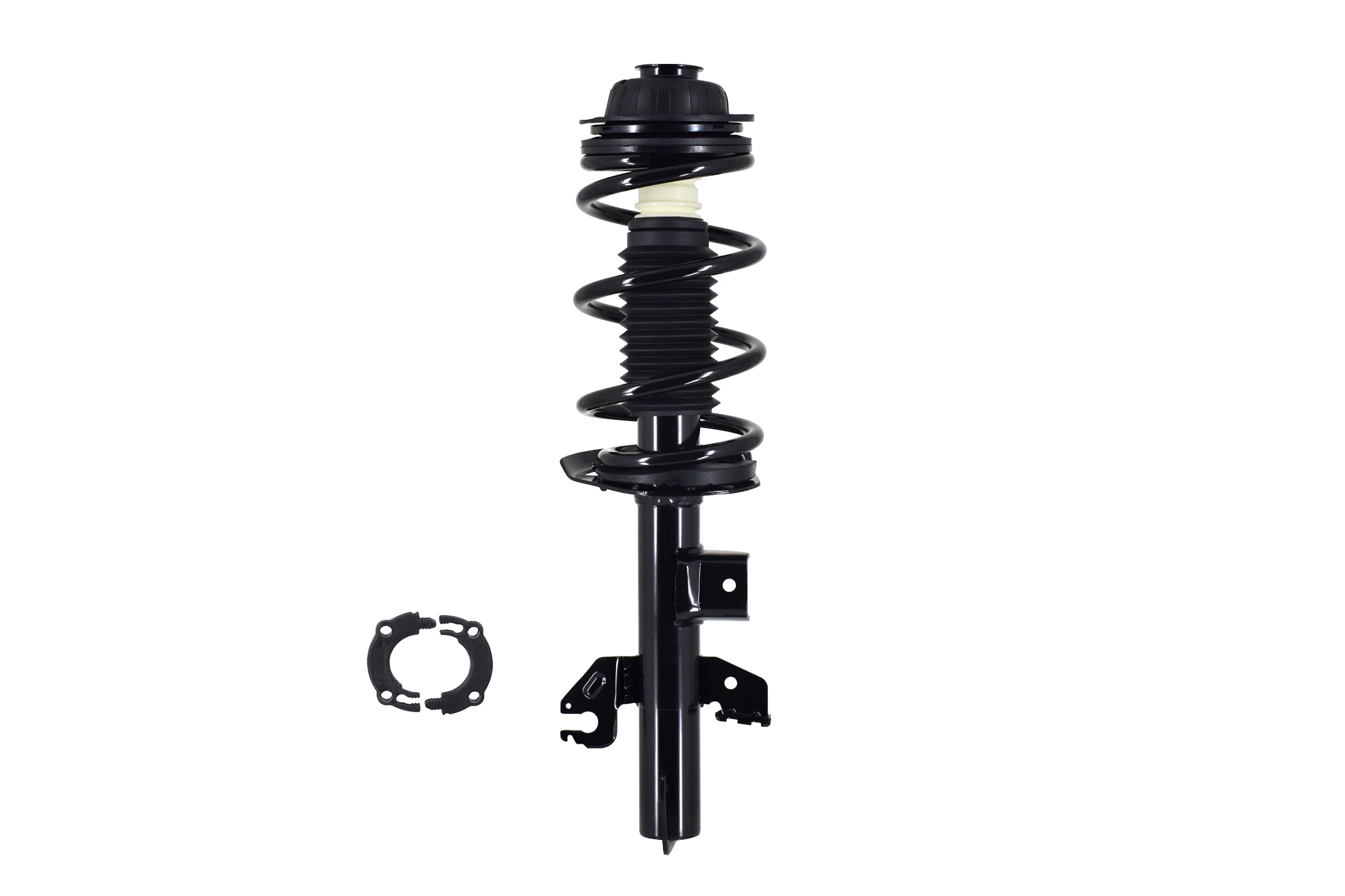 Suspension Strut and Coil Spring Assembly
