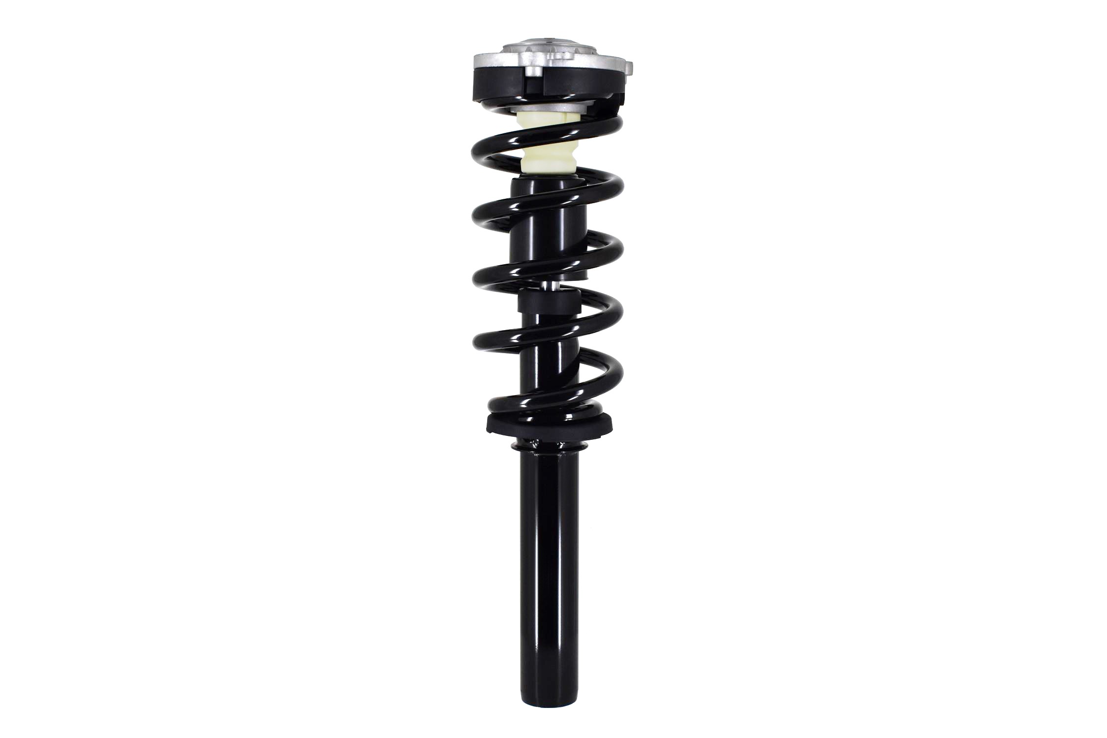 Suspension Strut and Coil Spring Assembly