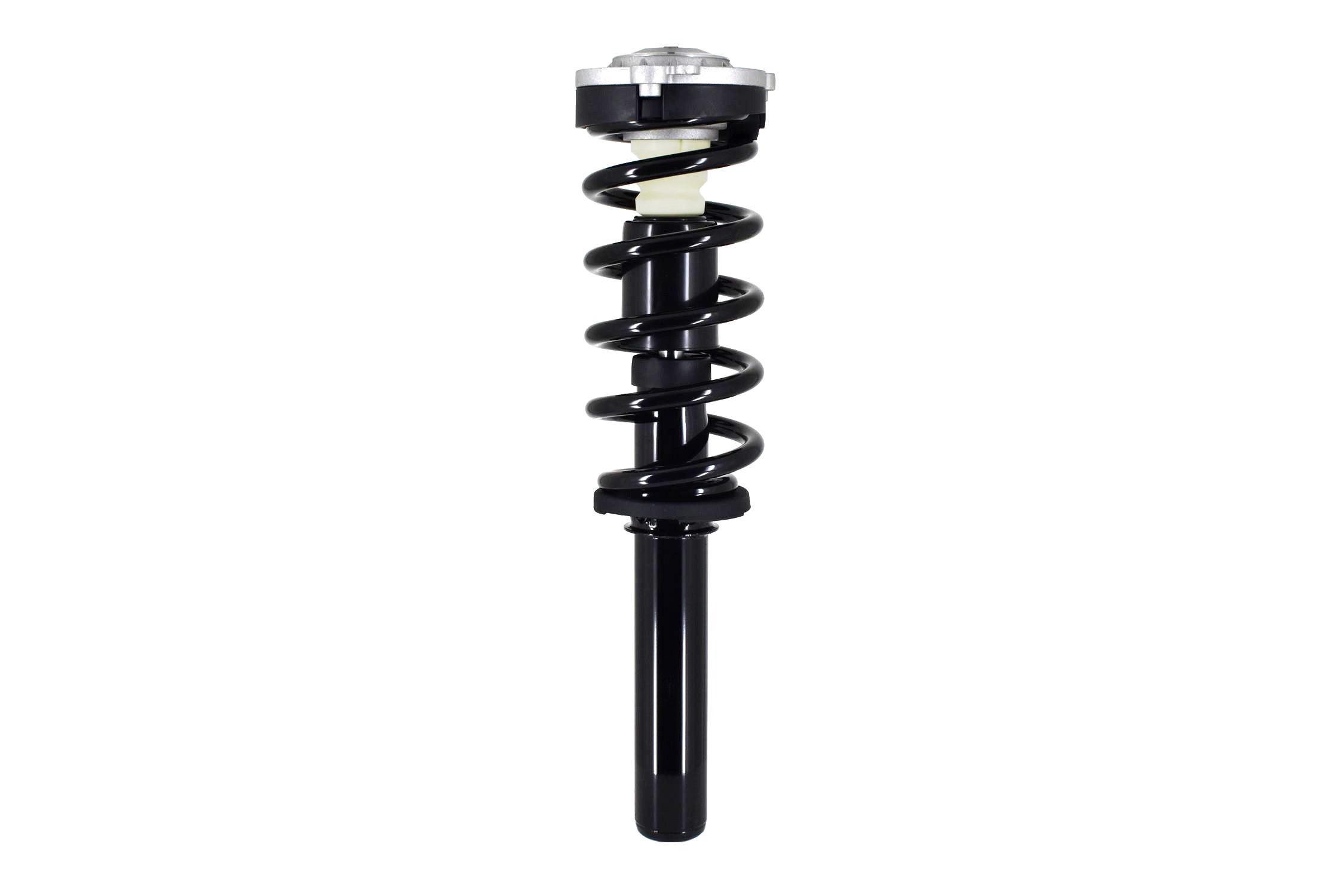 Suspension Strut and Coil Spring Assembly