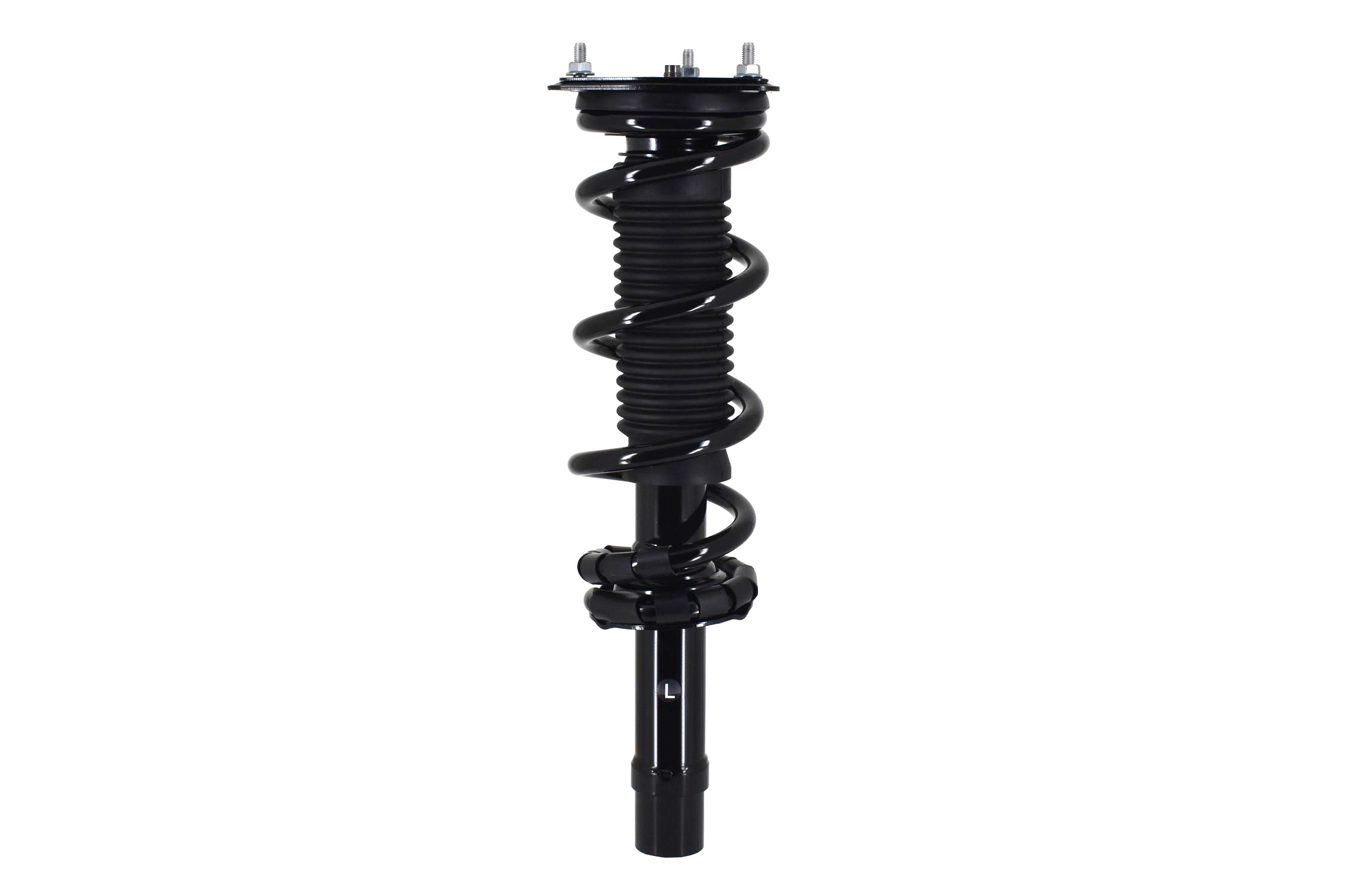 Suspension Strut and Coil Spring Assembly