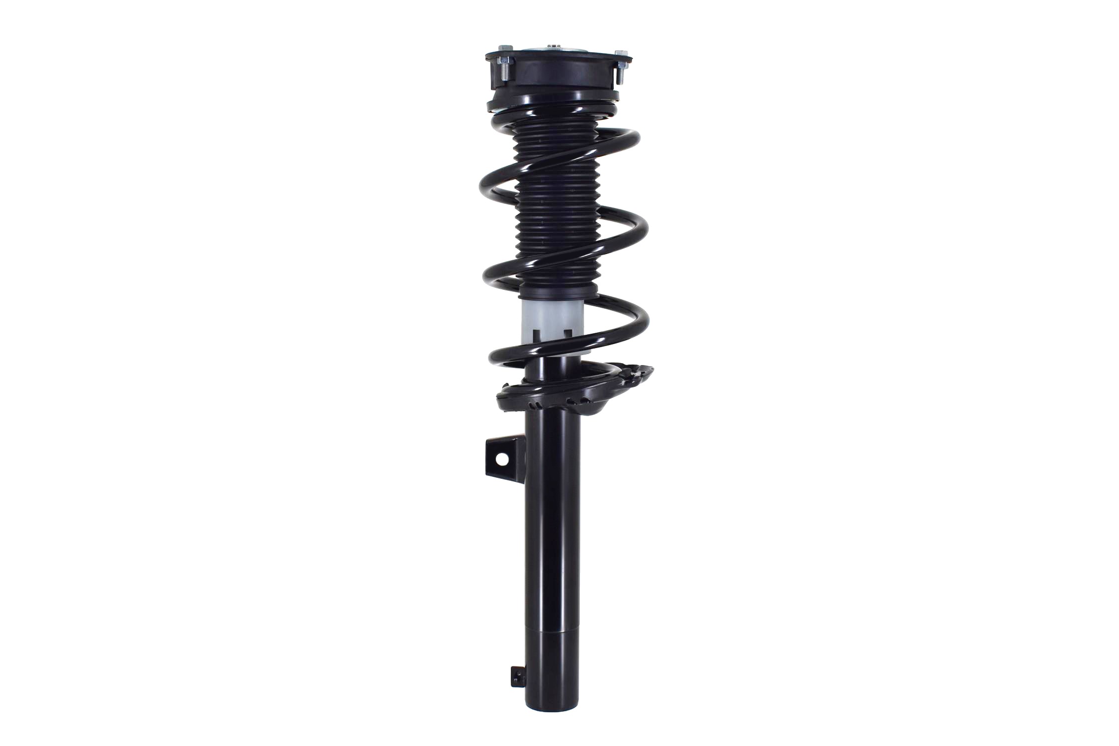 Suspension Strut and Coil Spring Assembly