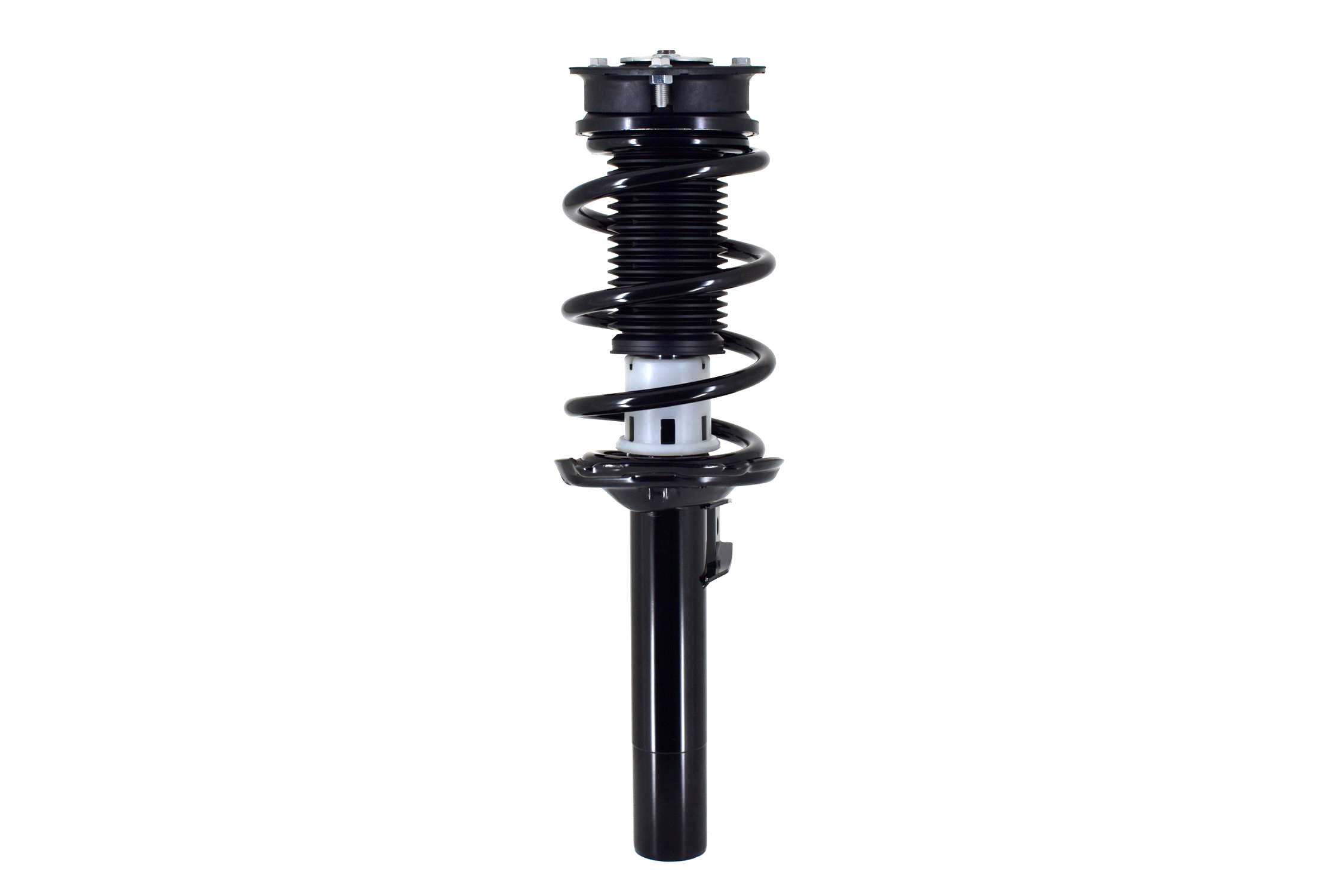 Suspension Strut and Coil Spring Assembly