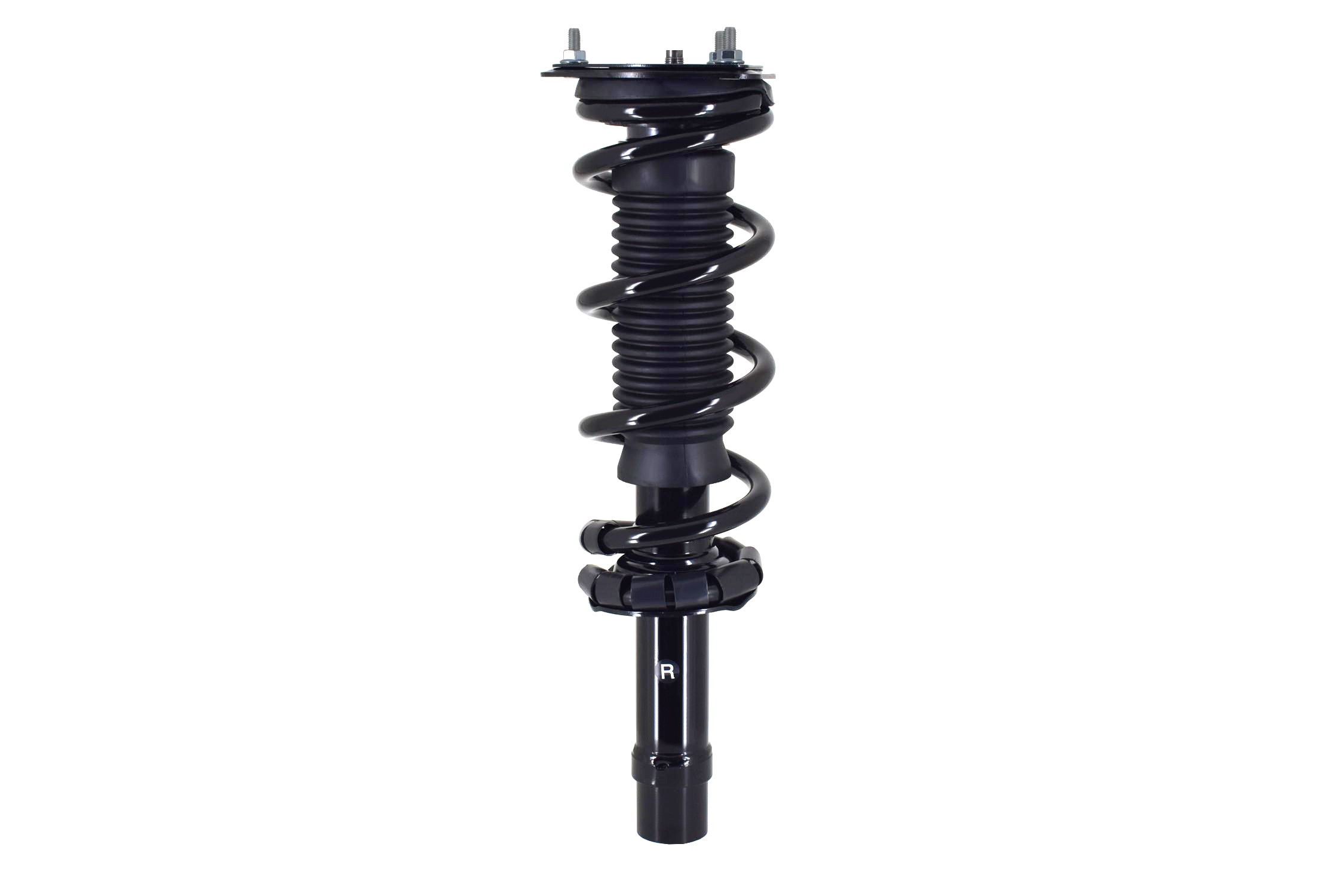 Suspension Strut and Coil Spring Assembly