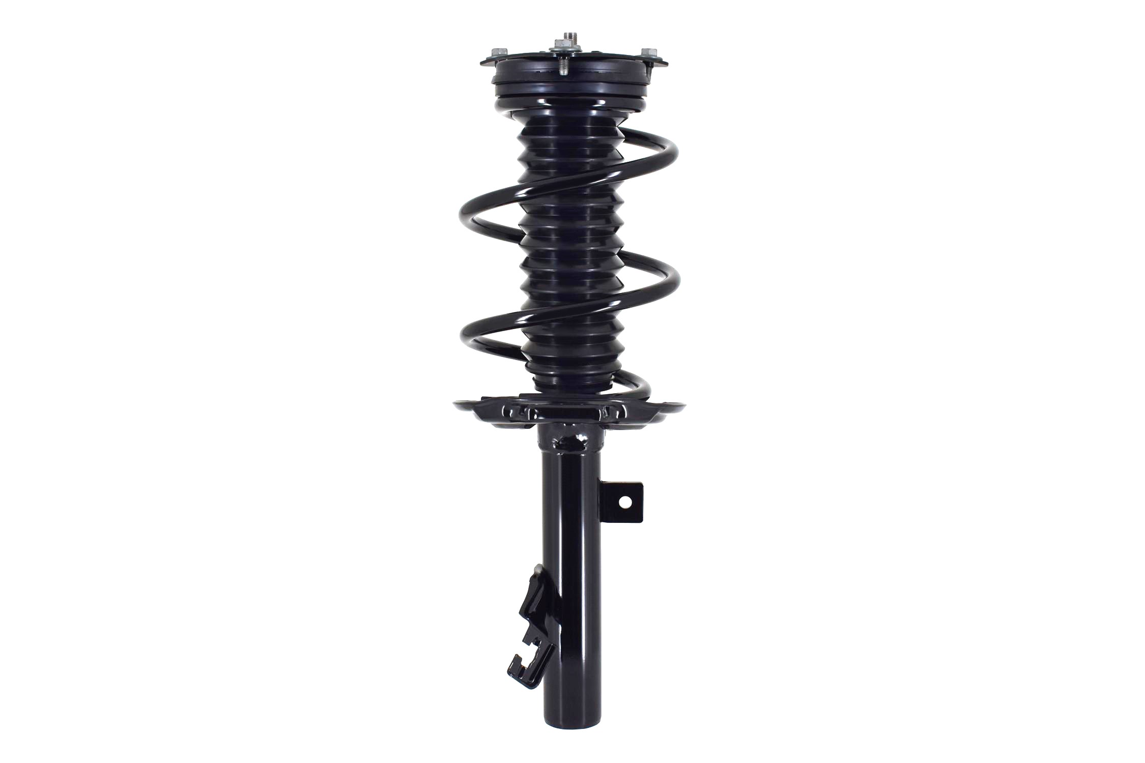 Suspension Strut and Coil Spring Assembly