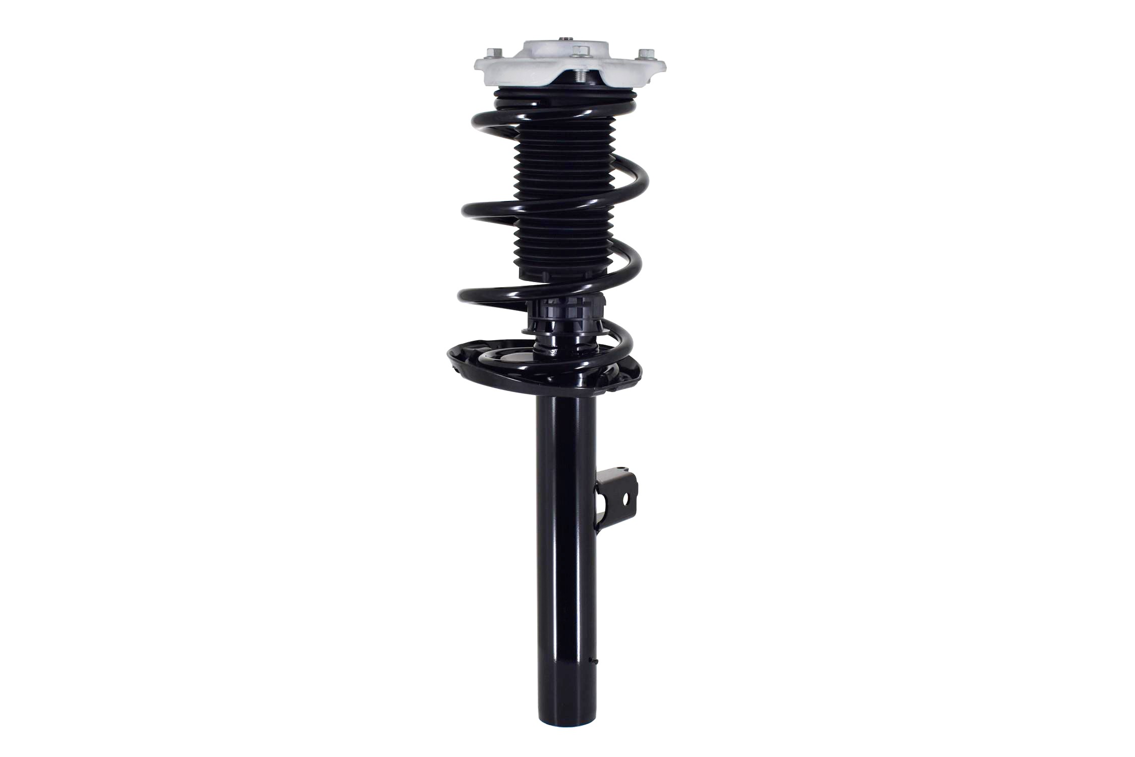 Suspension Strut and Coil Spring Assembly
