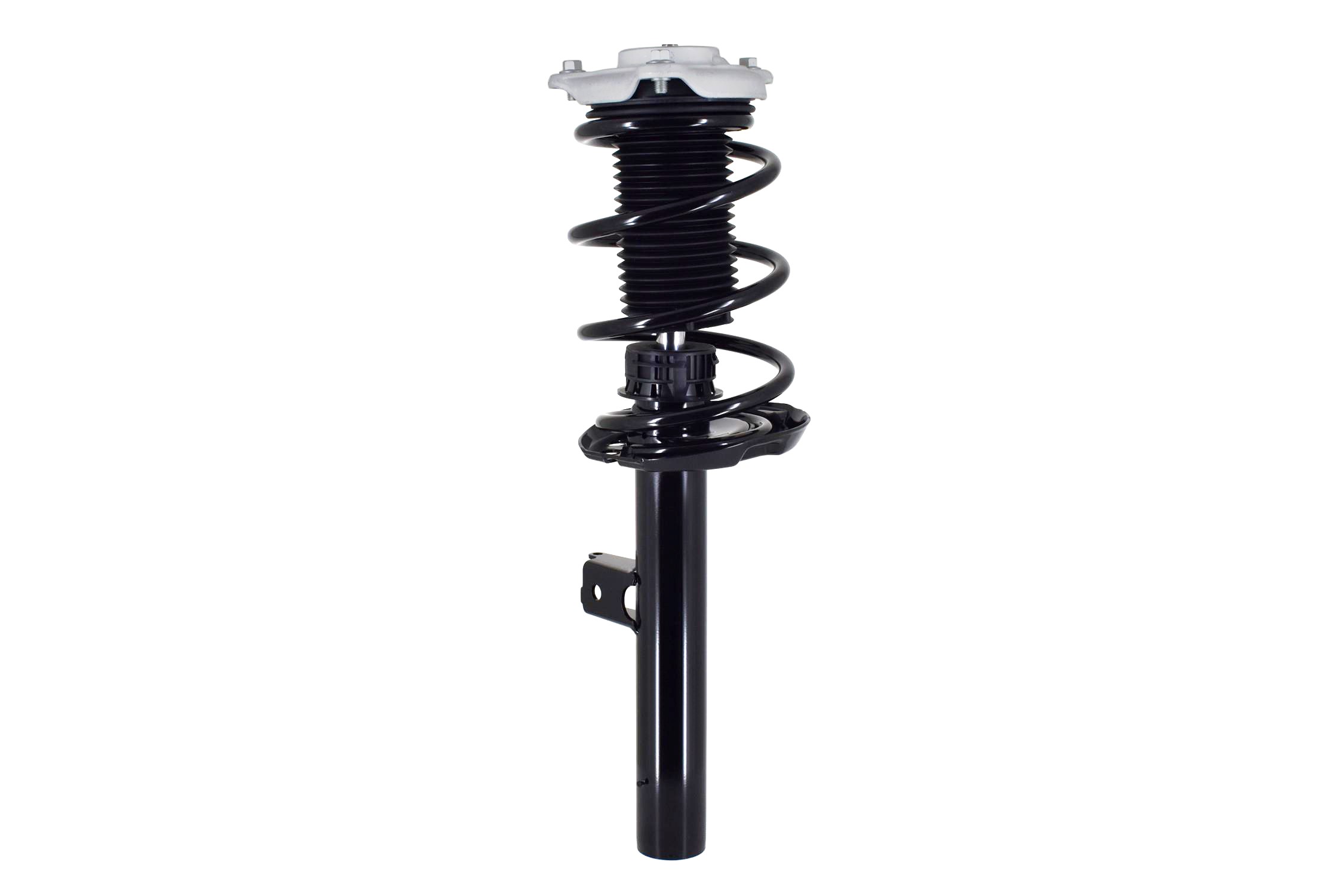 Suspension Strut and Coil Spring Assembly