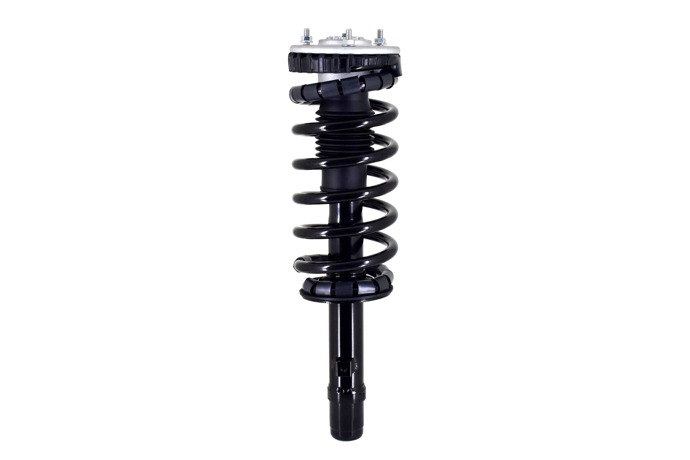 Suspension Strut and Coil Spring Assembly