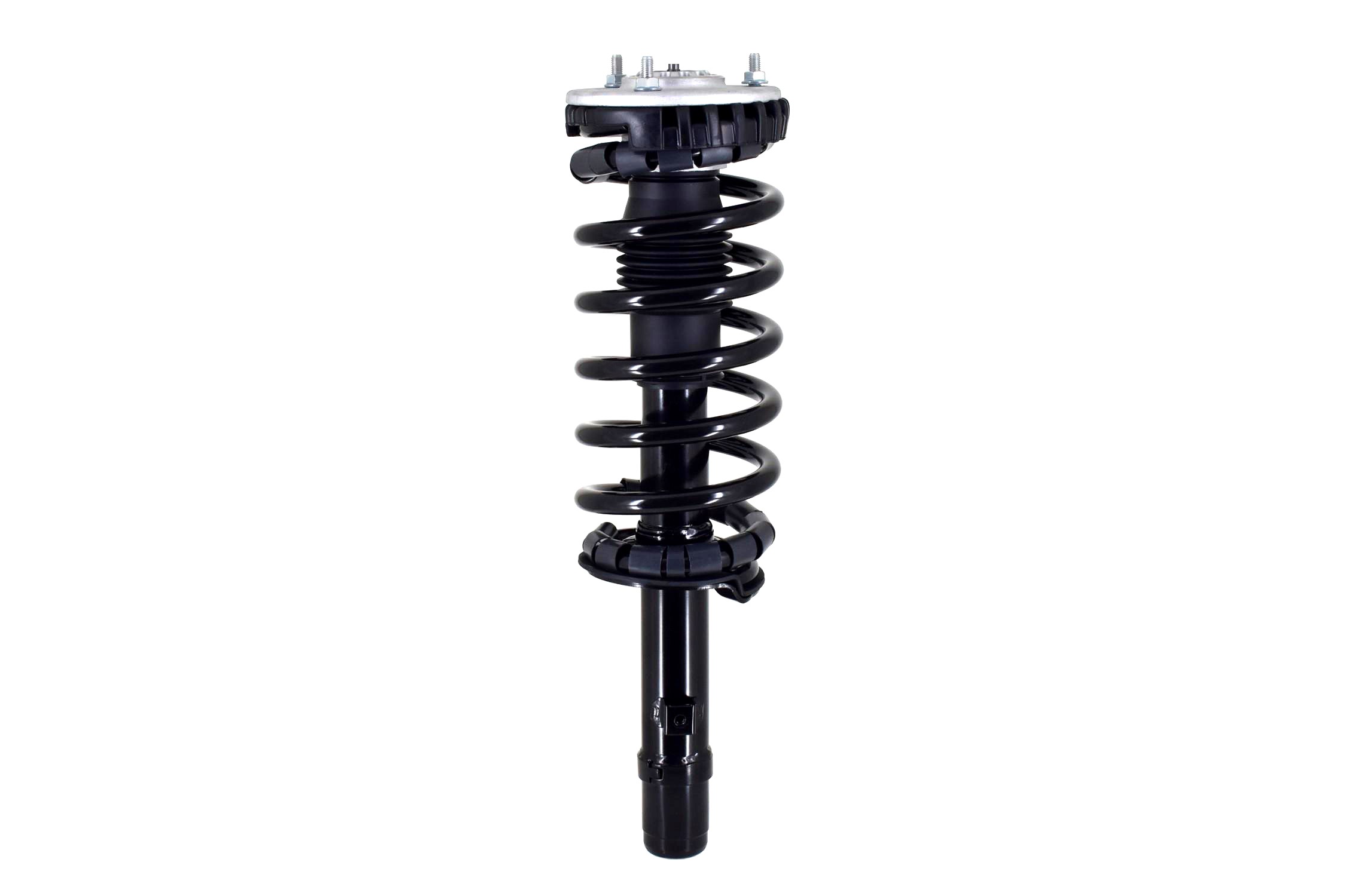 Suspension Strut and Coil Spring Assembly
