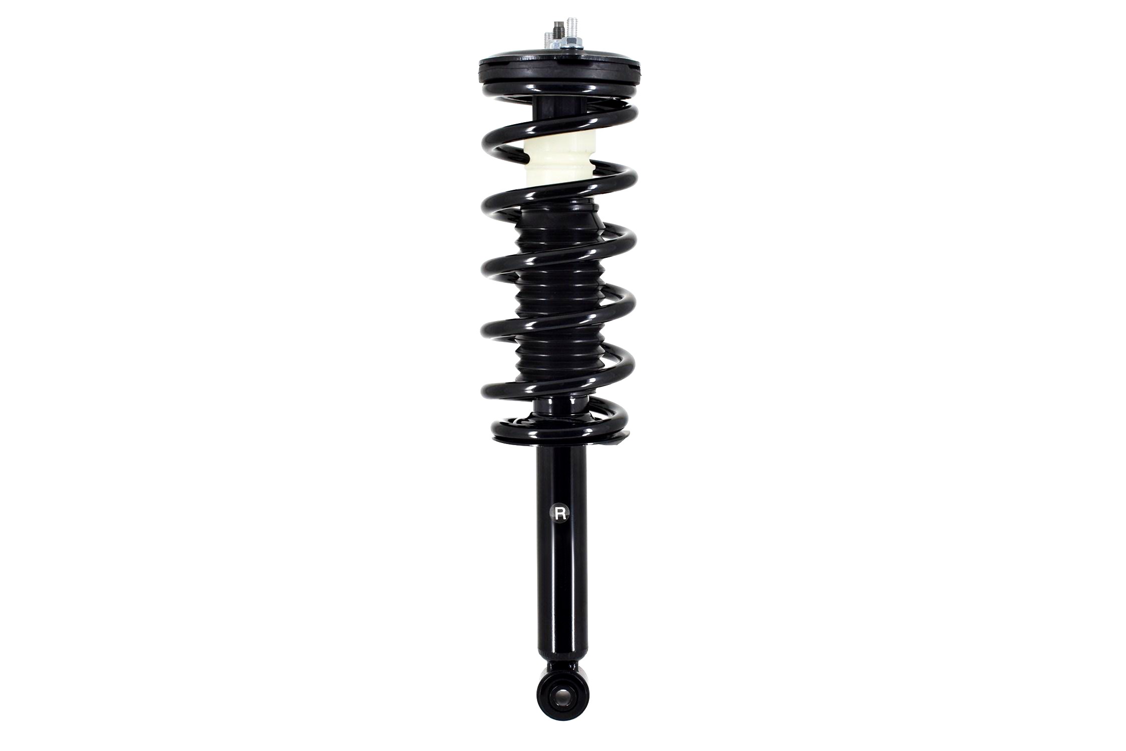 Suspension Strut and Coil Spring Assembly