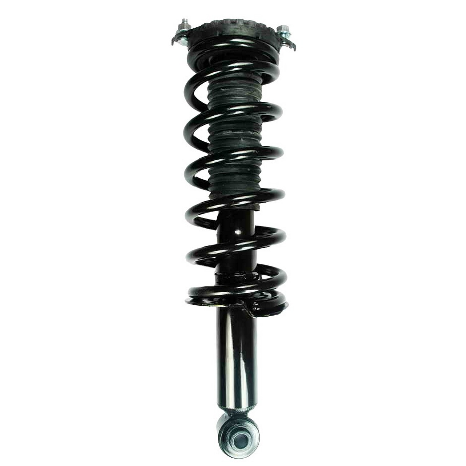 Suspension Strut and Coil Spring Assembly