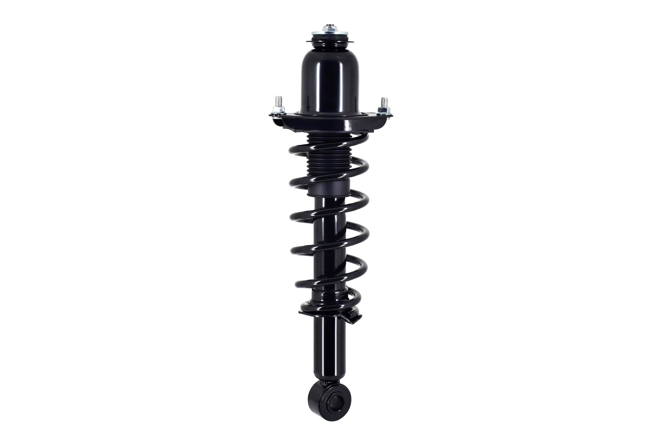 Suspension Strut and Coil Spring Assembly