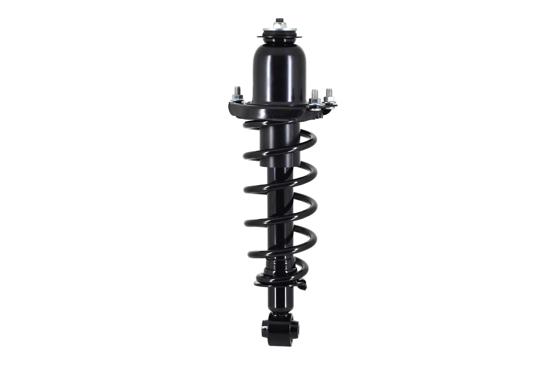 Suspension Strut and Coil Spring Assembly