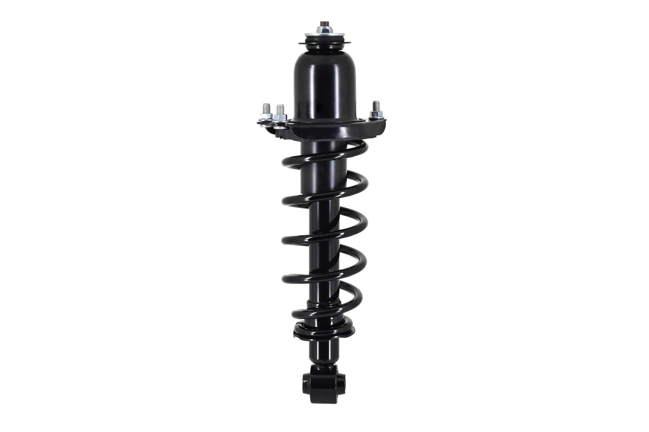 Suspension Strut and Coil Spring Assembly
