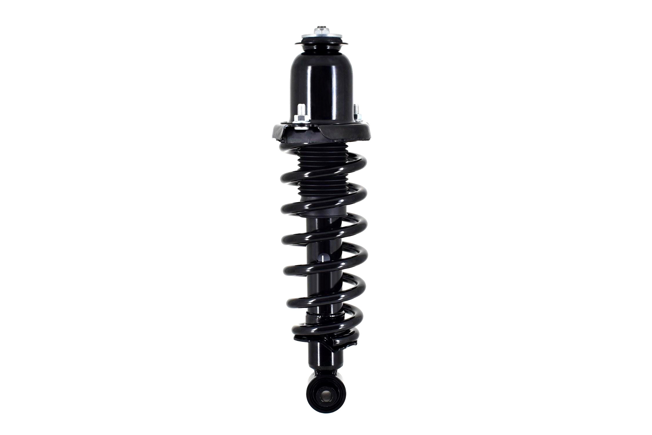 Suspension Strut and Coil Spring Assembly
