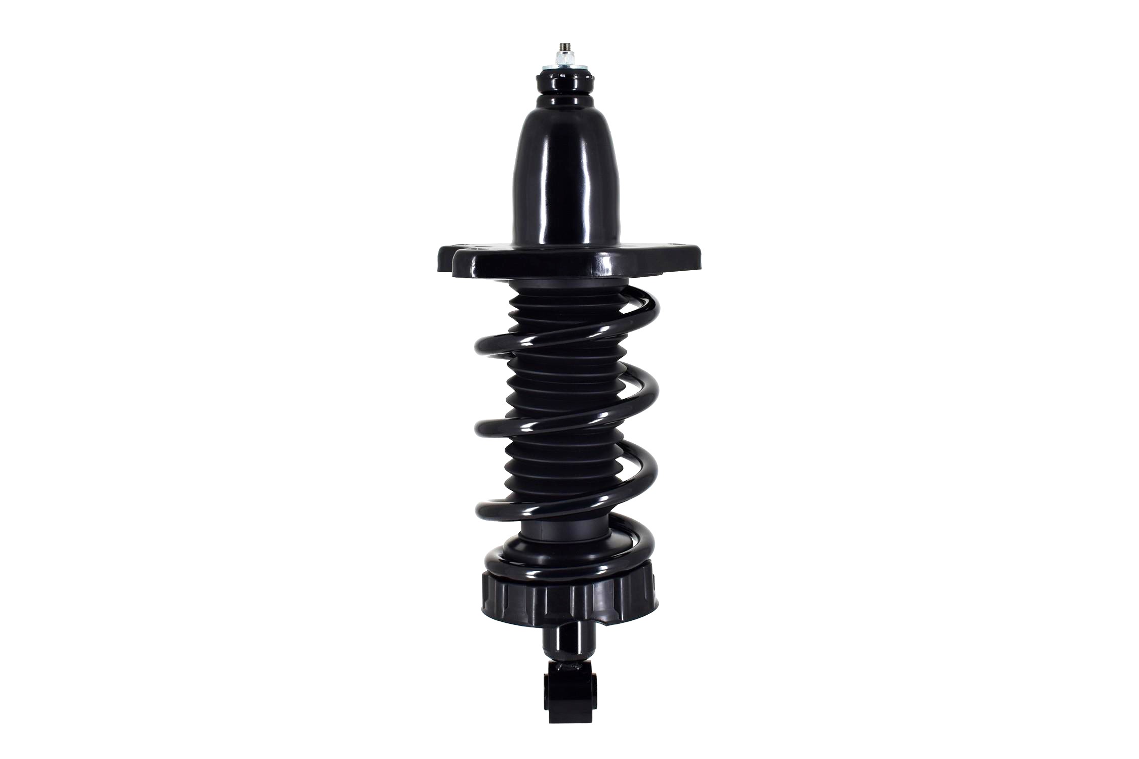 Suspension Strut and Coil Spring Assembly
