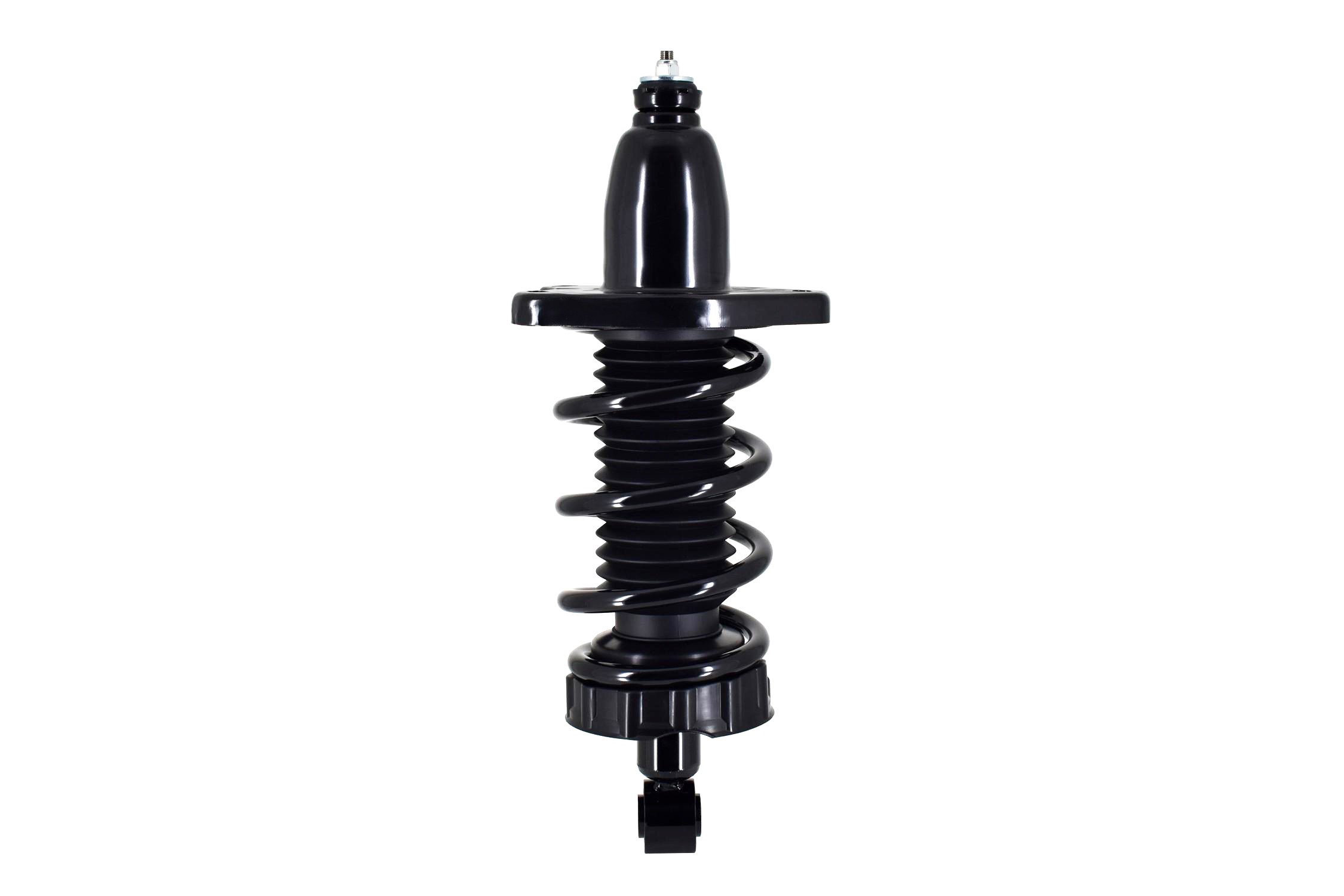 Suspension Strut and Coil Spring Assembly