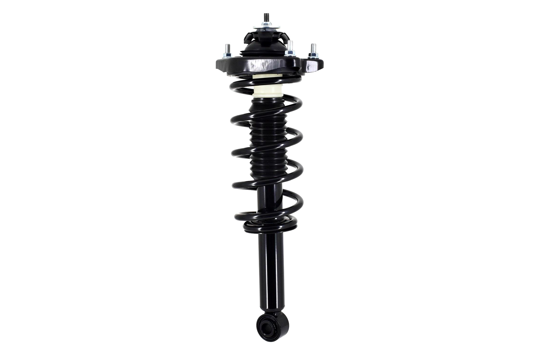 Suspension Strut and Coil Spring Assembly