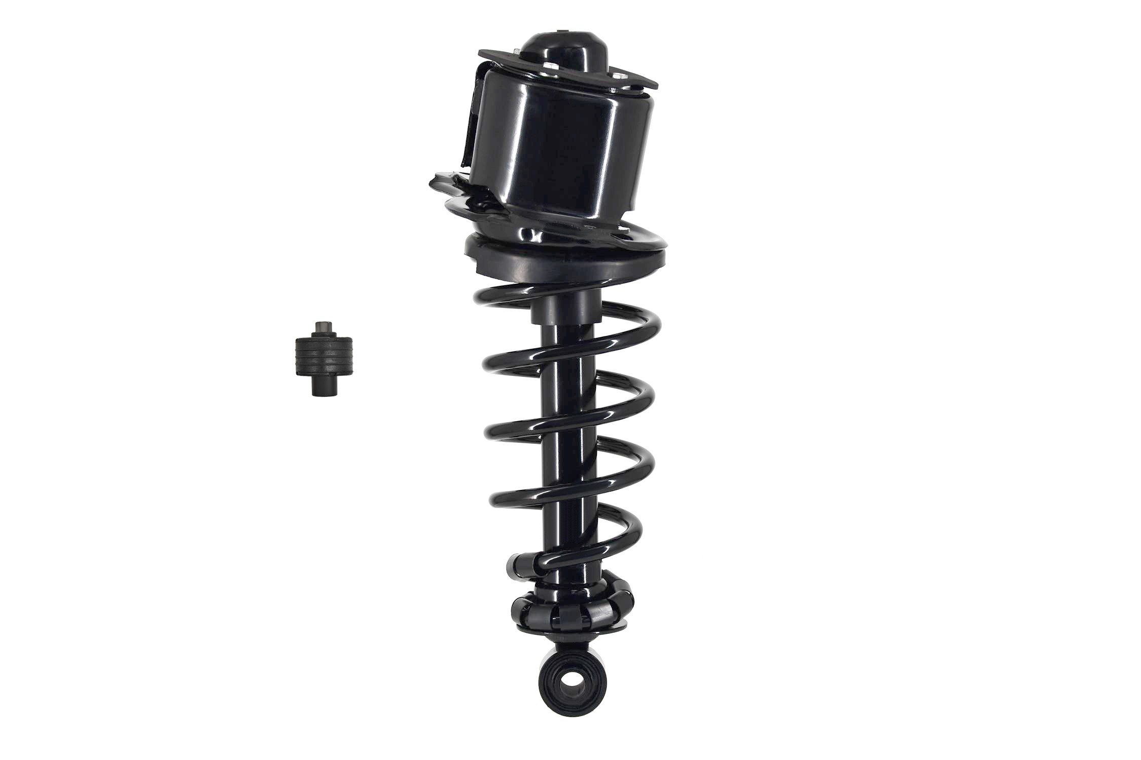Suspension Strut and Coil Spring Assembly
