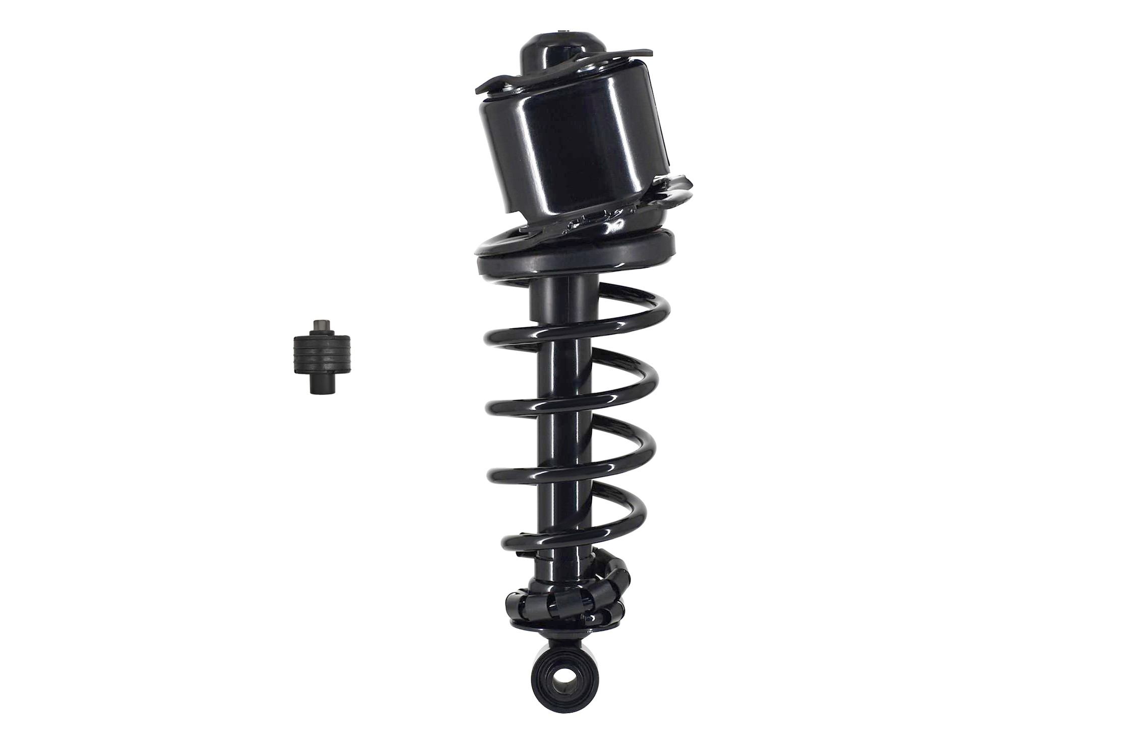 Suspension Strut and Coil Spring Assembly
