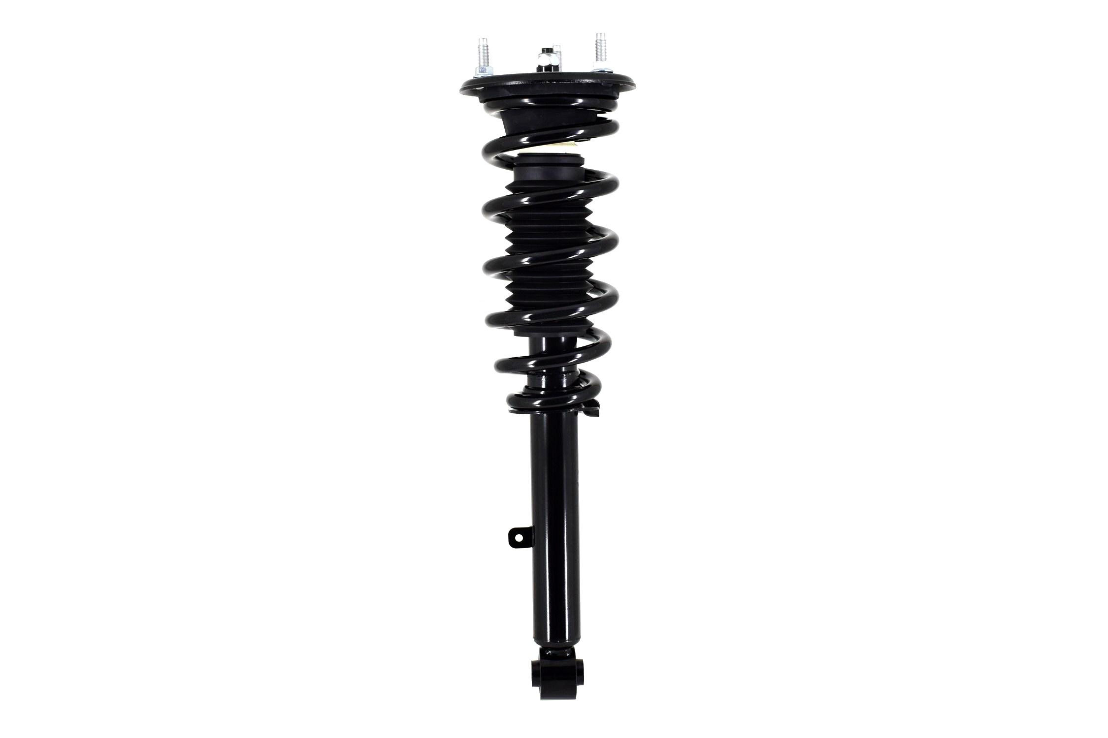 Suspension Strut and Coil Spring Assembly