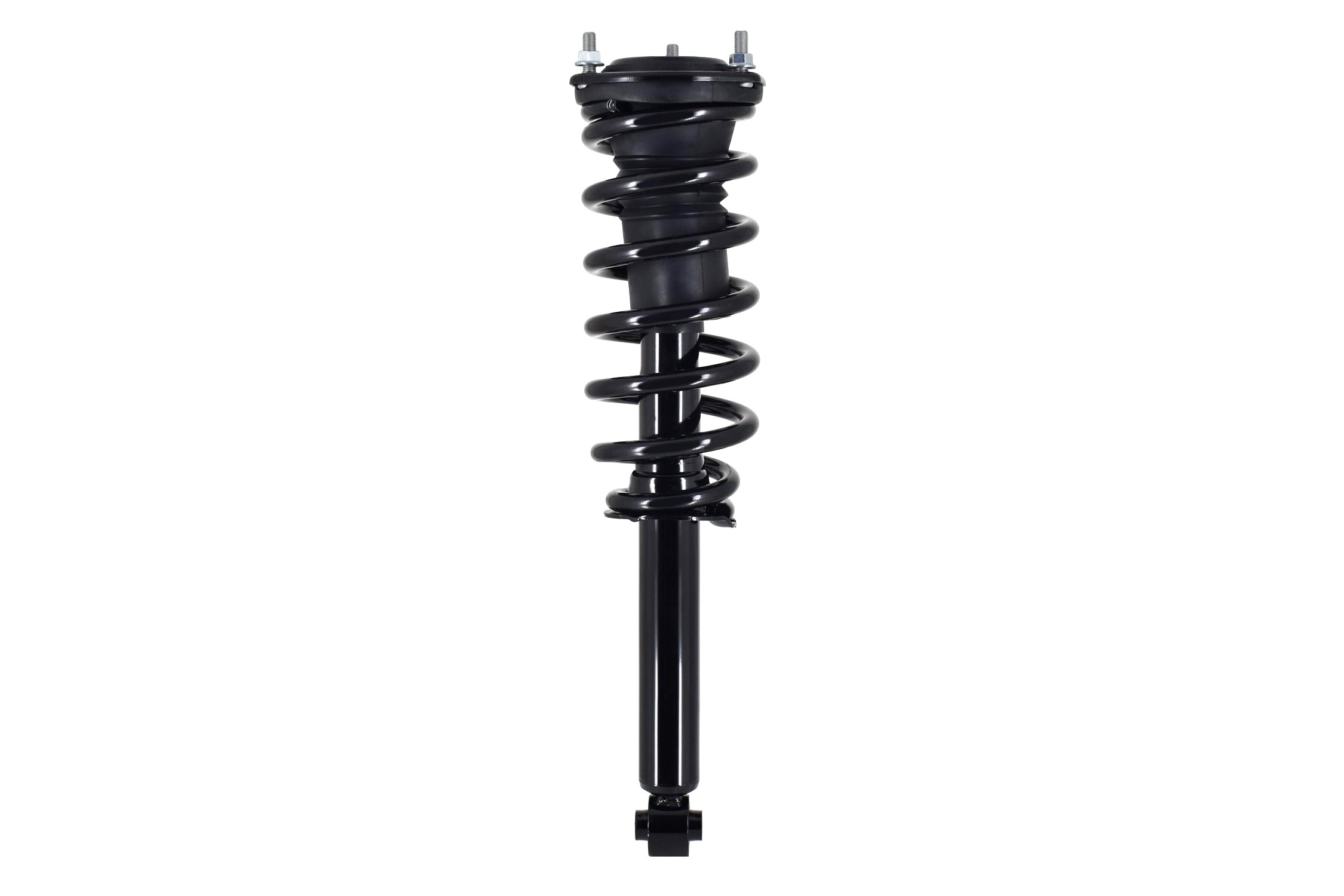 Suspension Strut and Coil Spring Assembly