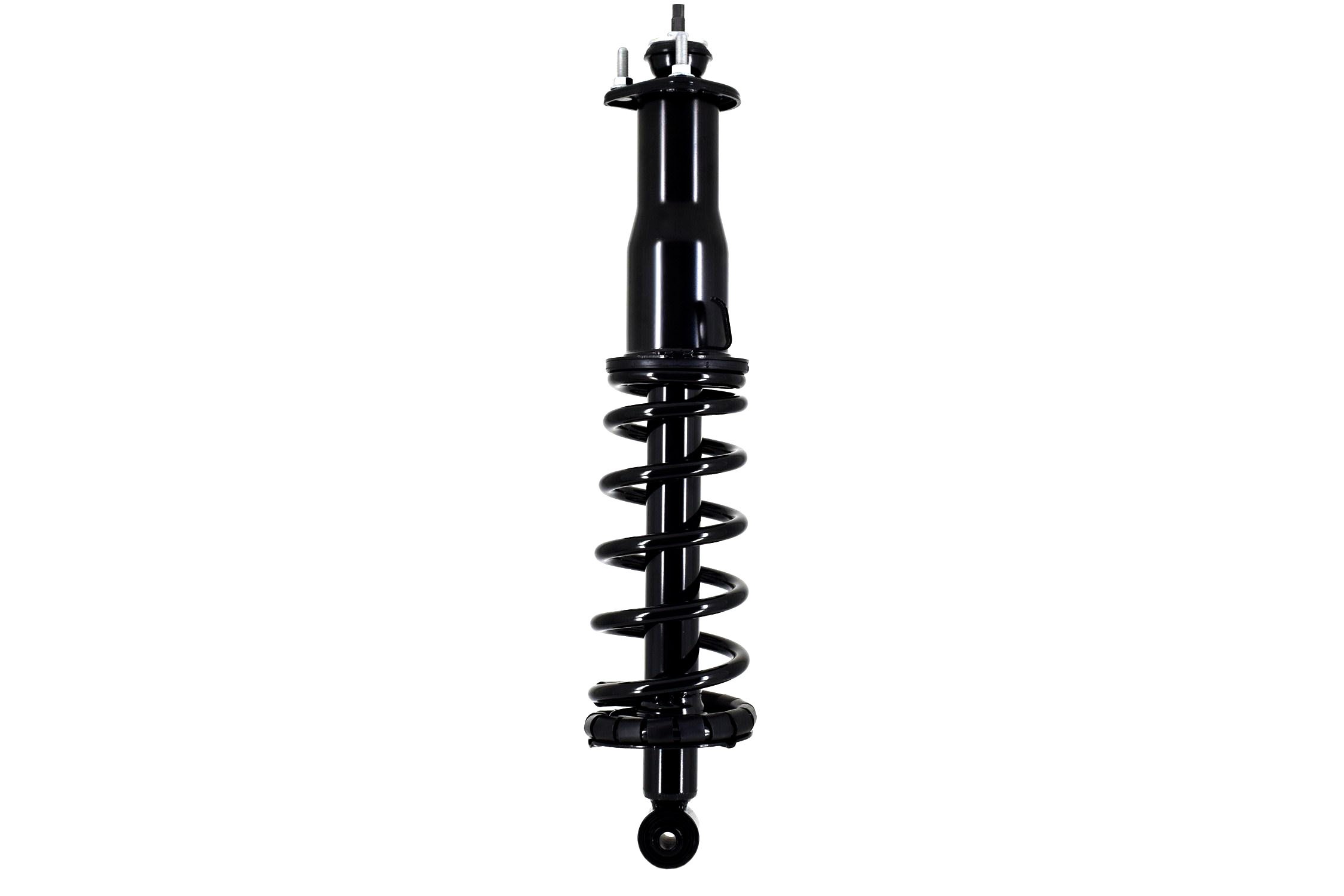 Suspension Strut and Coil Spring Assembly