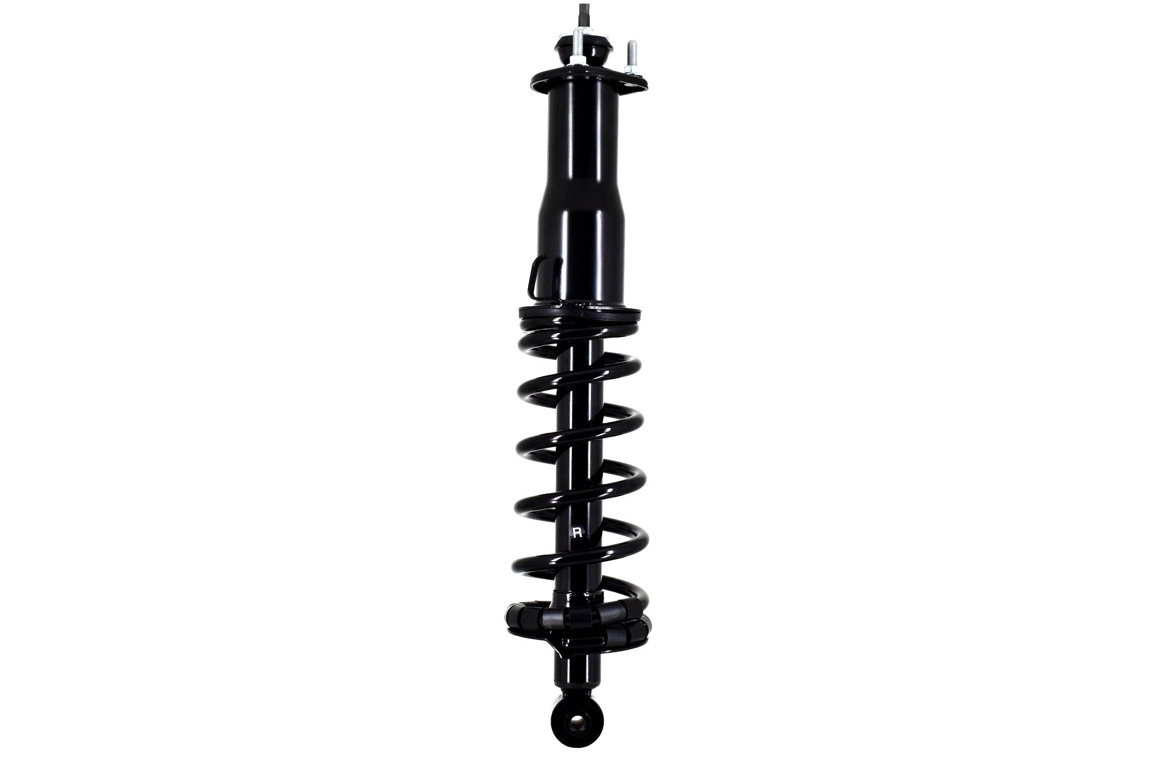 Suspension Strut and Coil Spring Assembly
