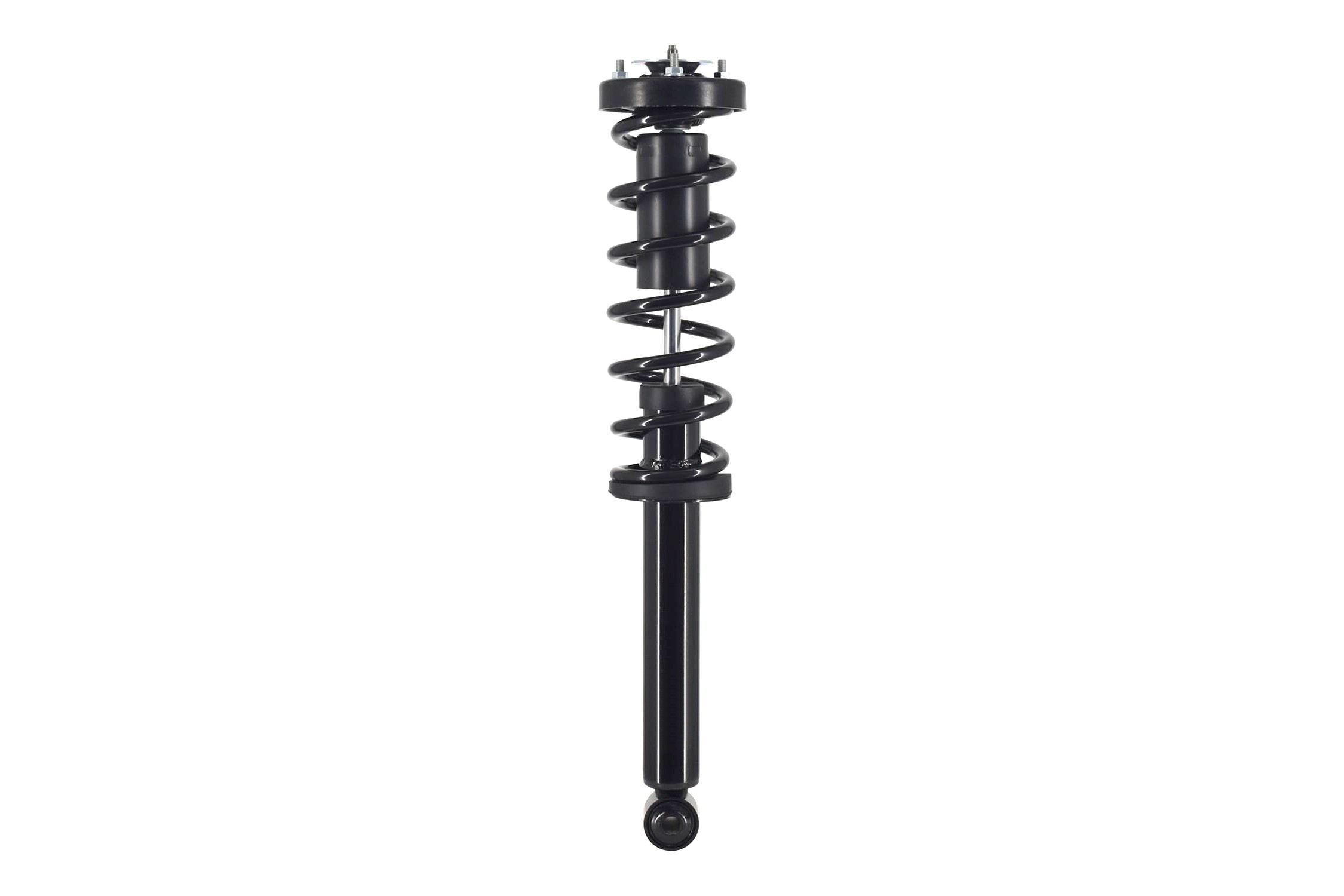 Suspension Strut and Coil Spring Assembly