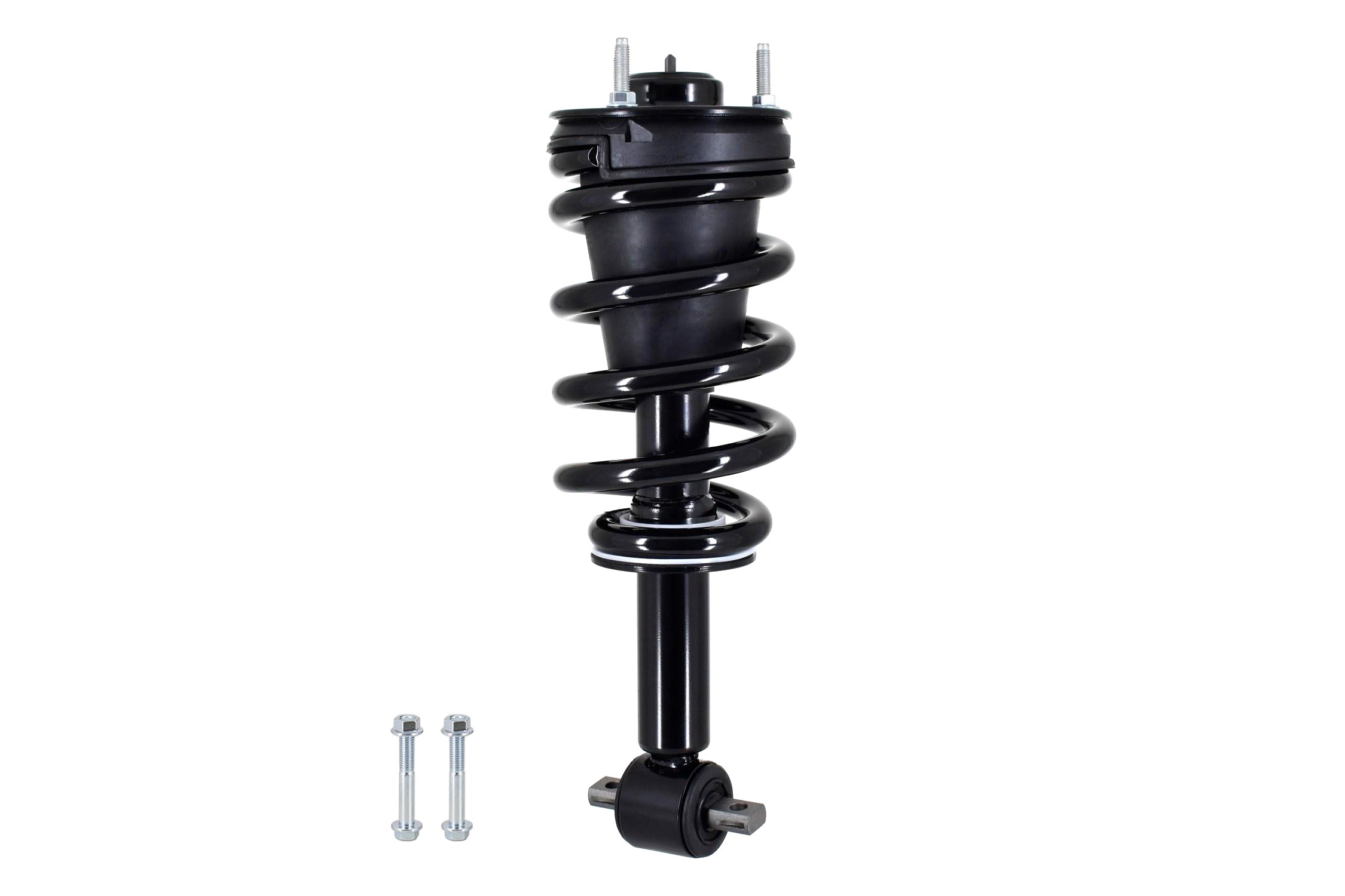 Suspension Strut and Coil Spring Assembly
