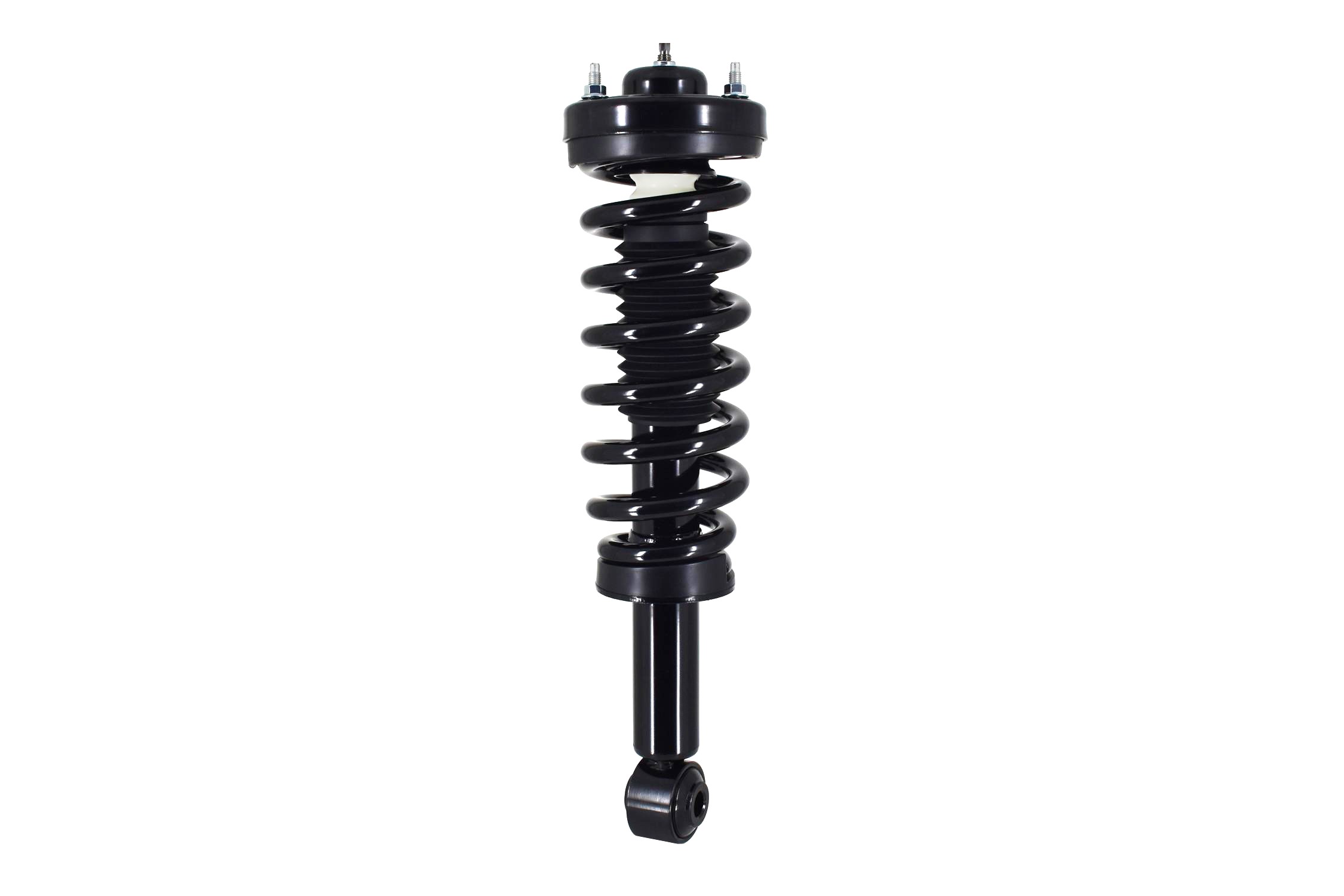 Suspension Strut and Coil Spring Assembly