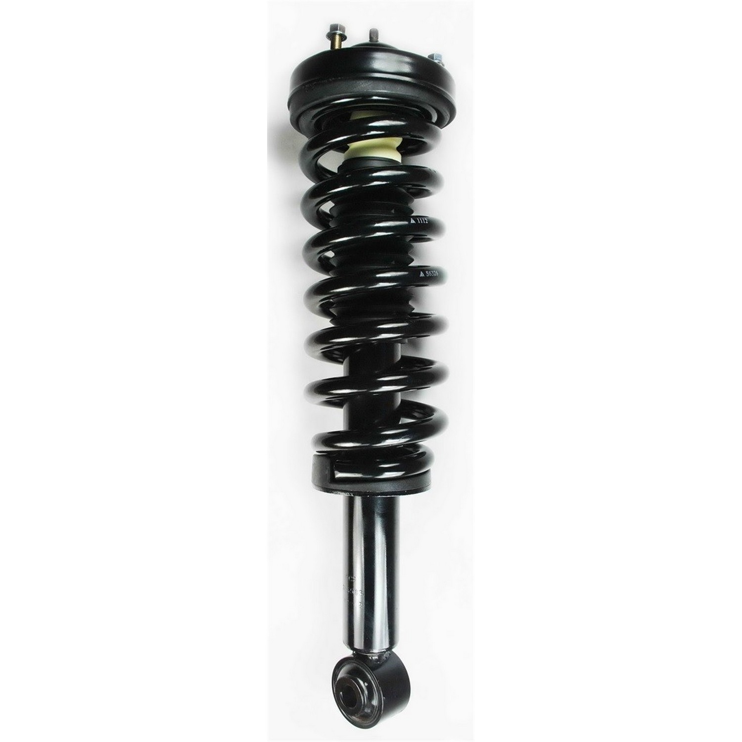 Suspension Strut and Coil Spring Assembly