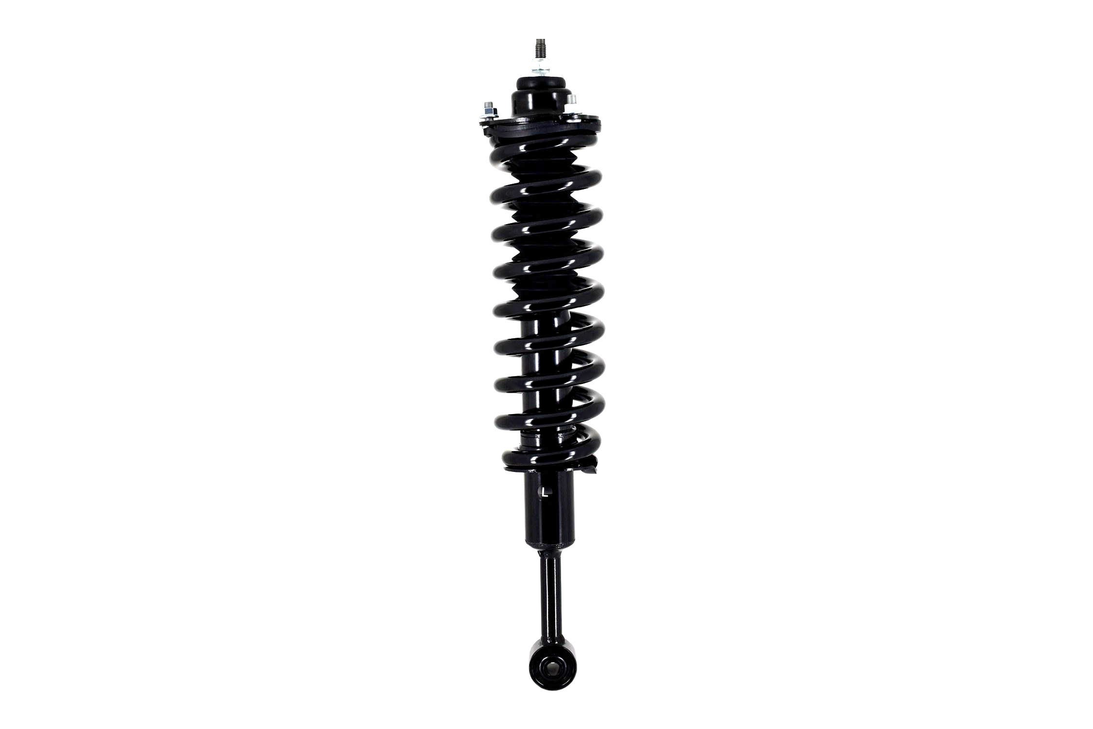 Suspension Strut and Coil Spring Assembly