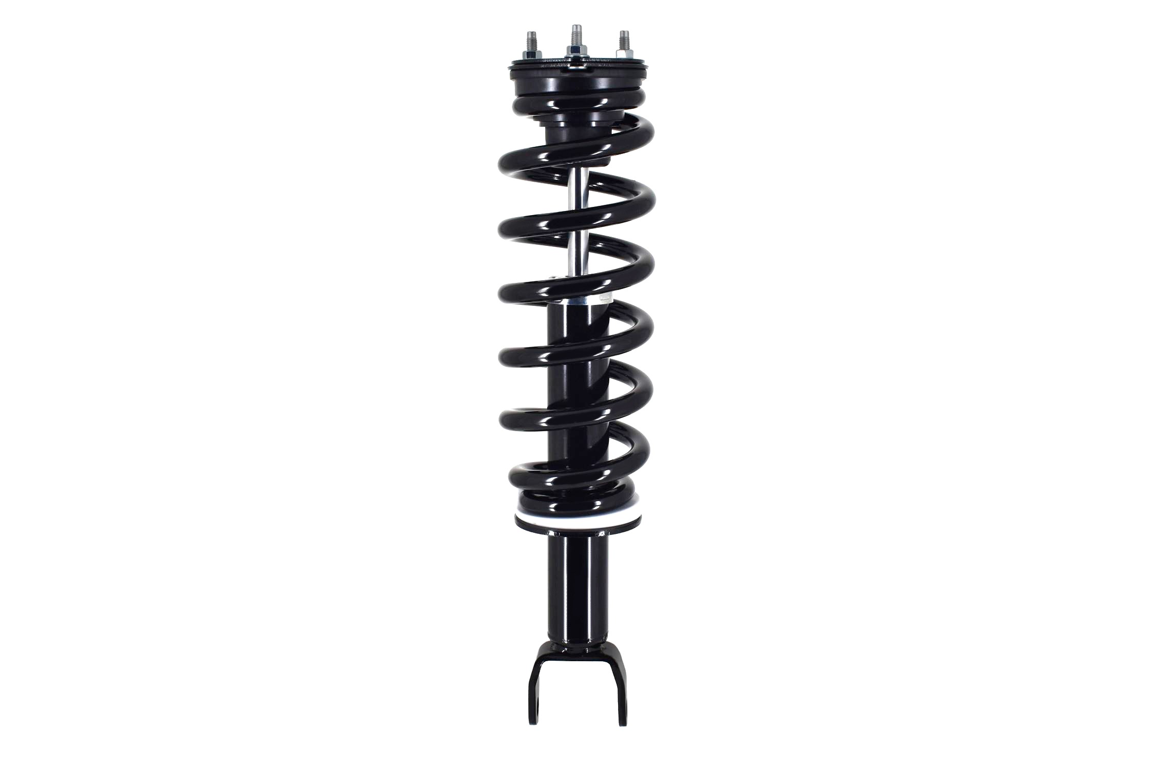 Suspension Strut and Coil Spring Assembly