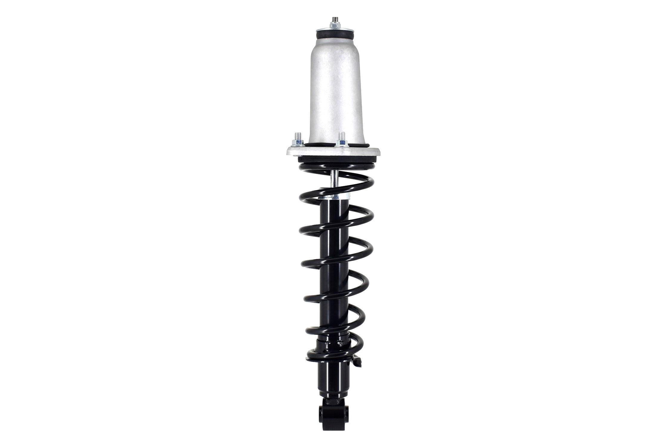 Suspension Strut and Coil Spring Assembly