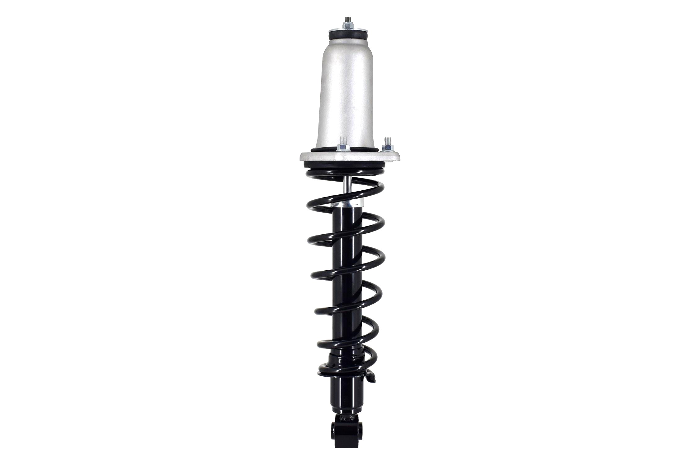Suspension Strut and Coil Spring Assembly