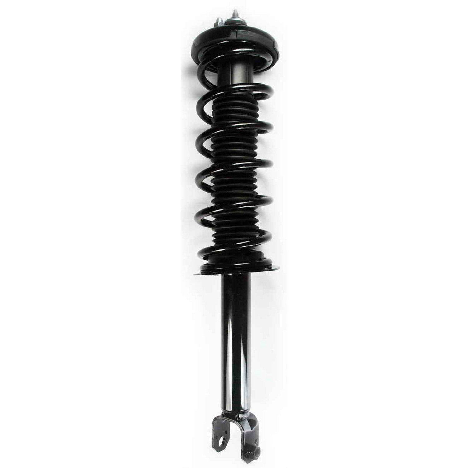 Suspension Strut and Coil Spring Assembly