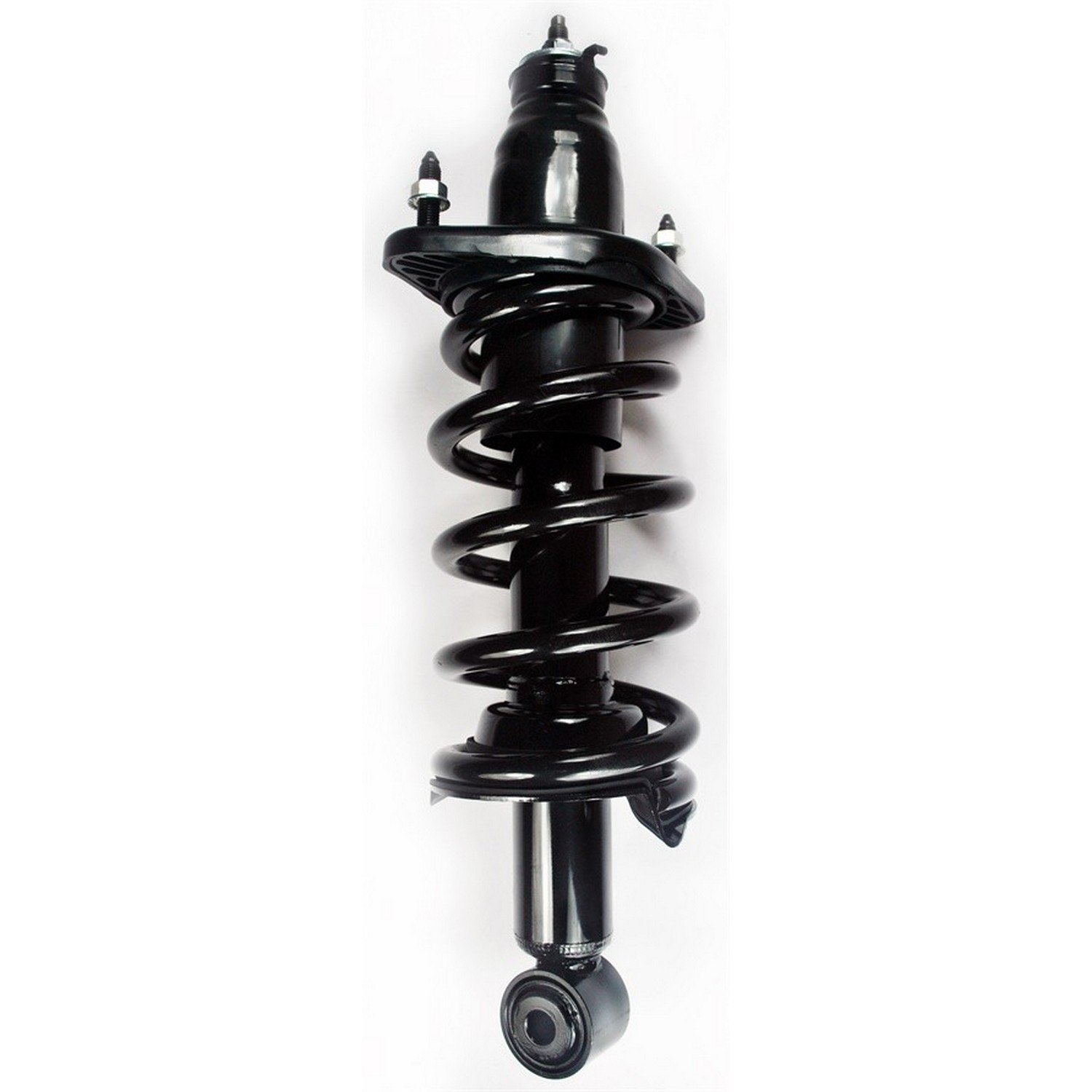 Suspension Strut and Coil Spring Assembly