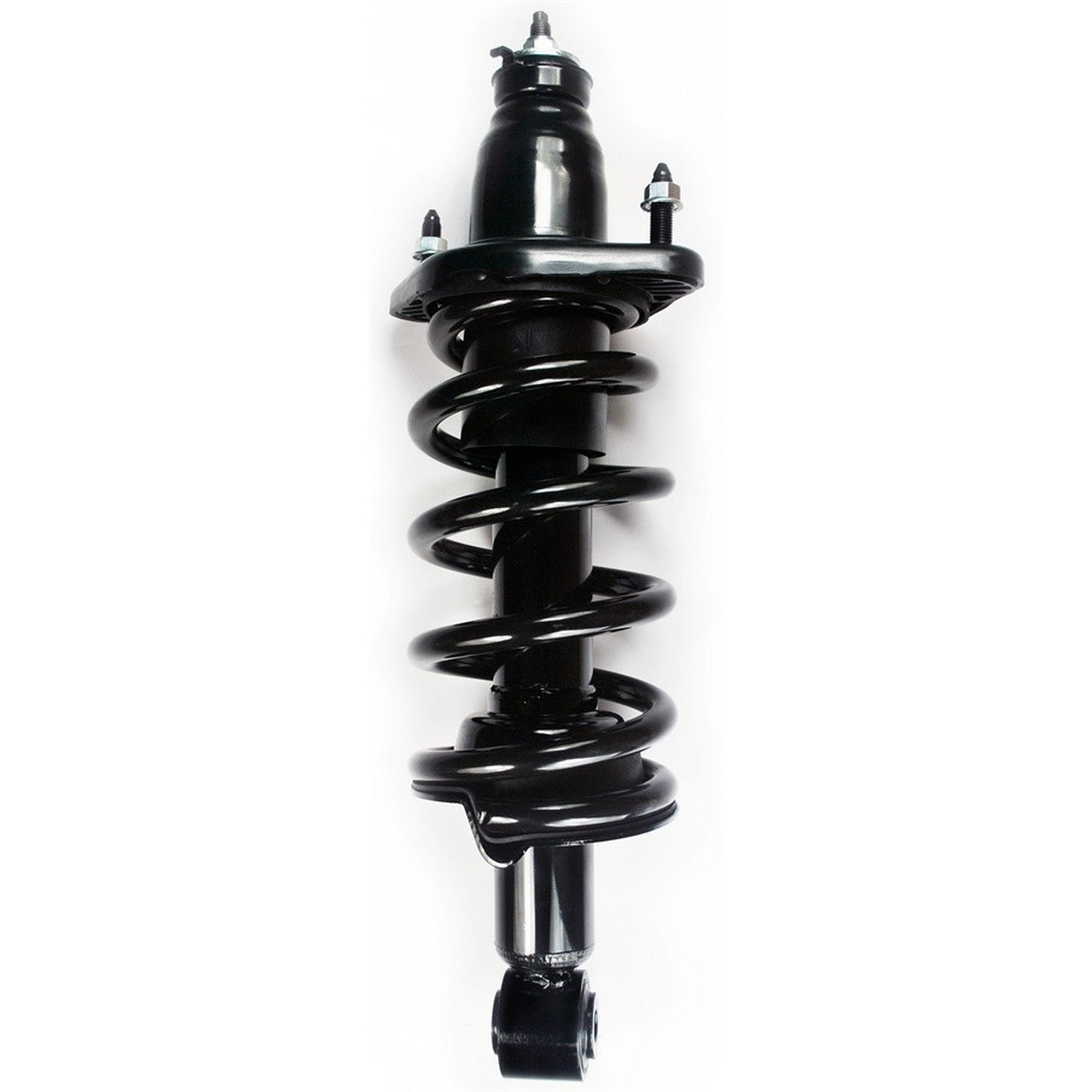 Suspension Strut and Coil Spring Assembly