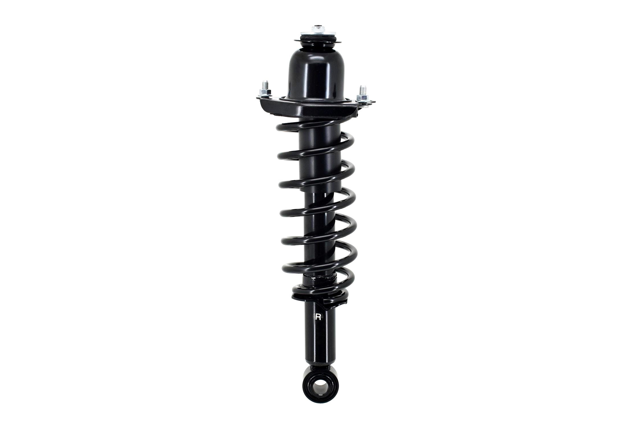 Suspension Strut and Coil Spring Assembly