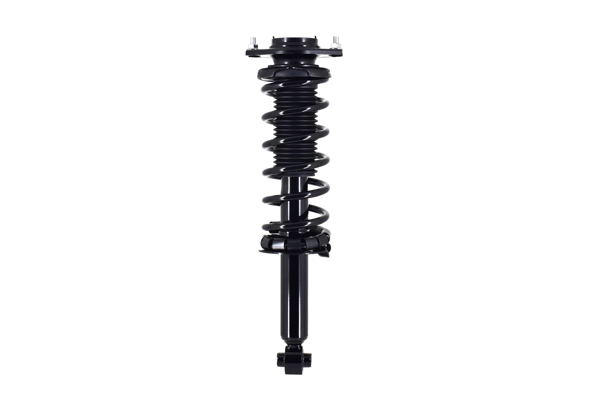Suspension Strut and Coil Spring Assembly