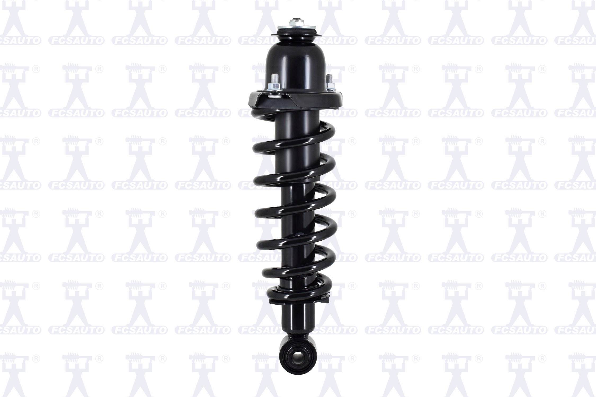 Suspension Strut and Coil Spring Assembly