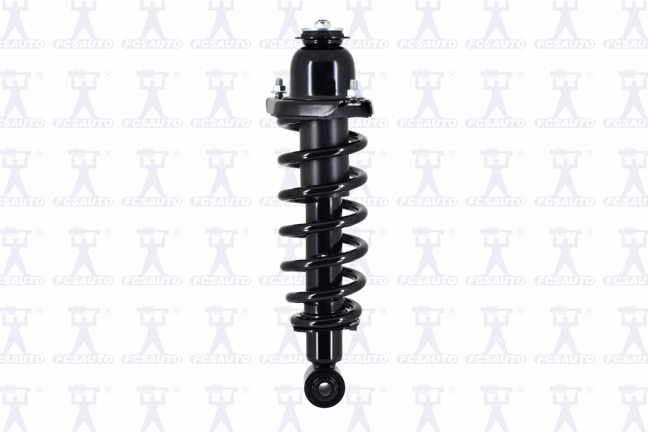 Suspension Strut and Coil Spring Assembly